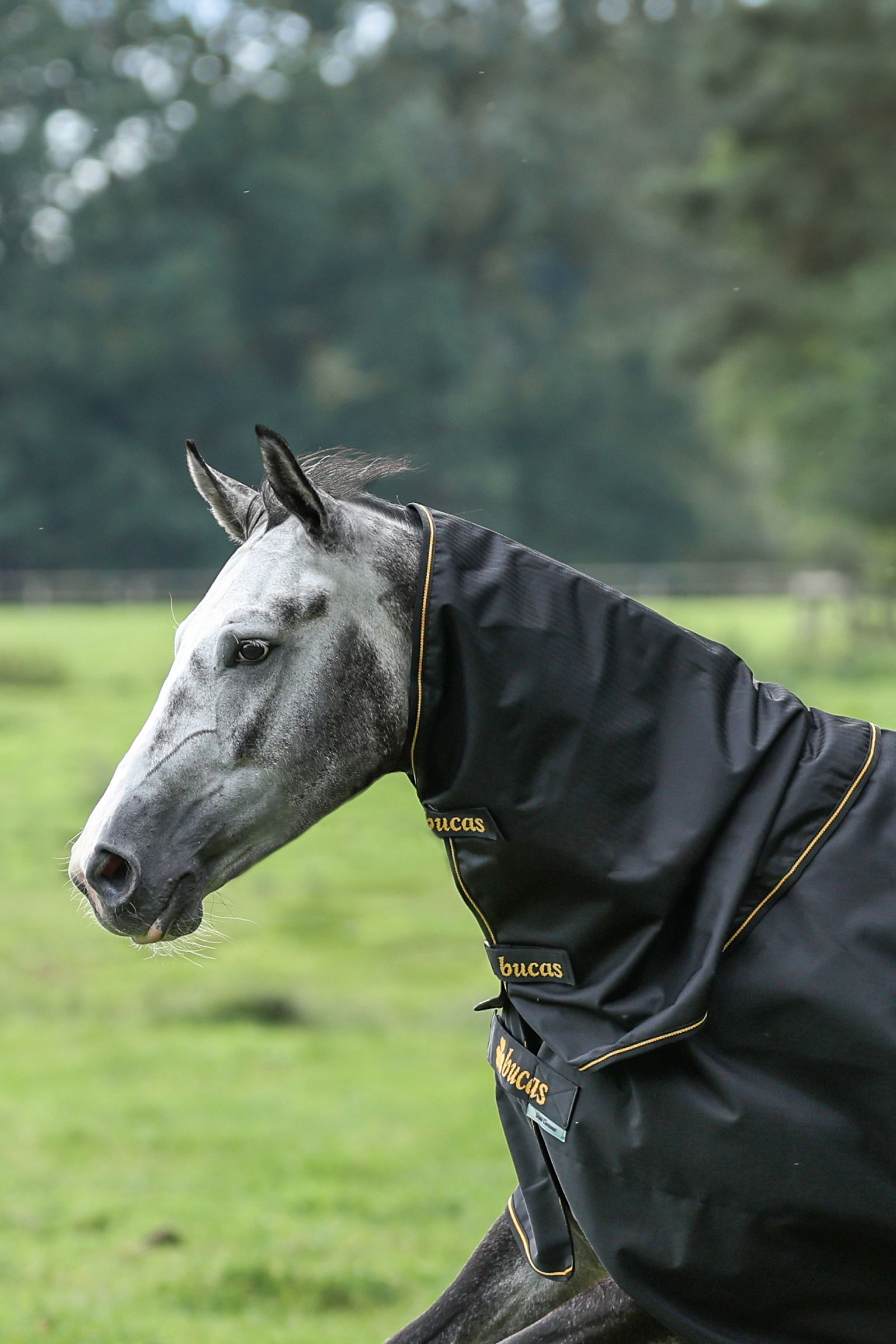 Bucas Irish Turnout halsdeel, 0g