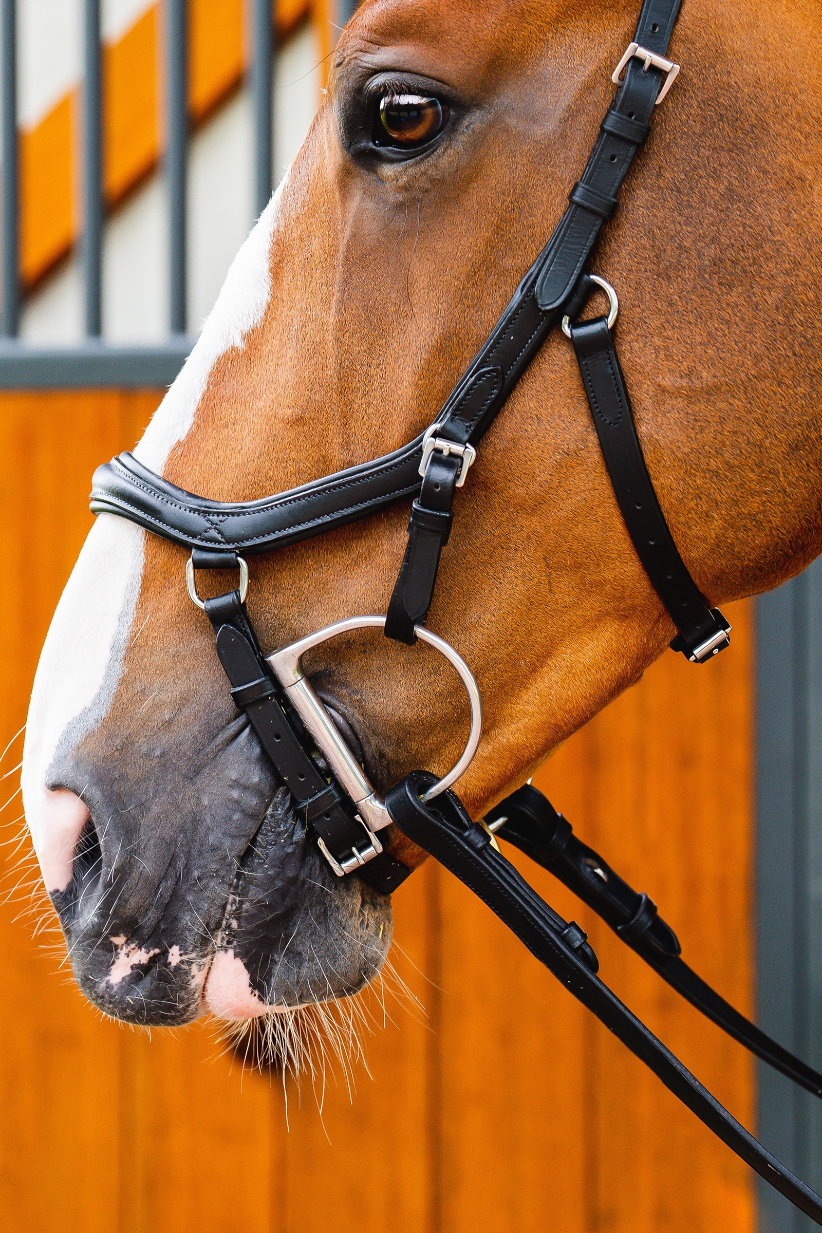 Horseware Micklem 2 Deluxe Competition Hoofdstel