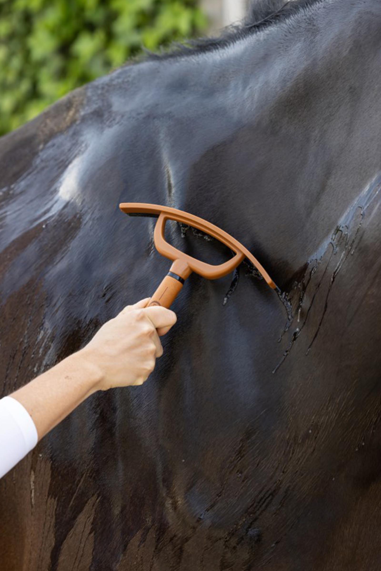 Covalliero Deluxe Sweat Scraper
