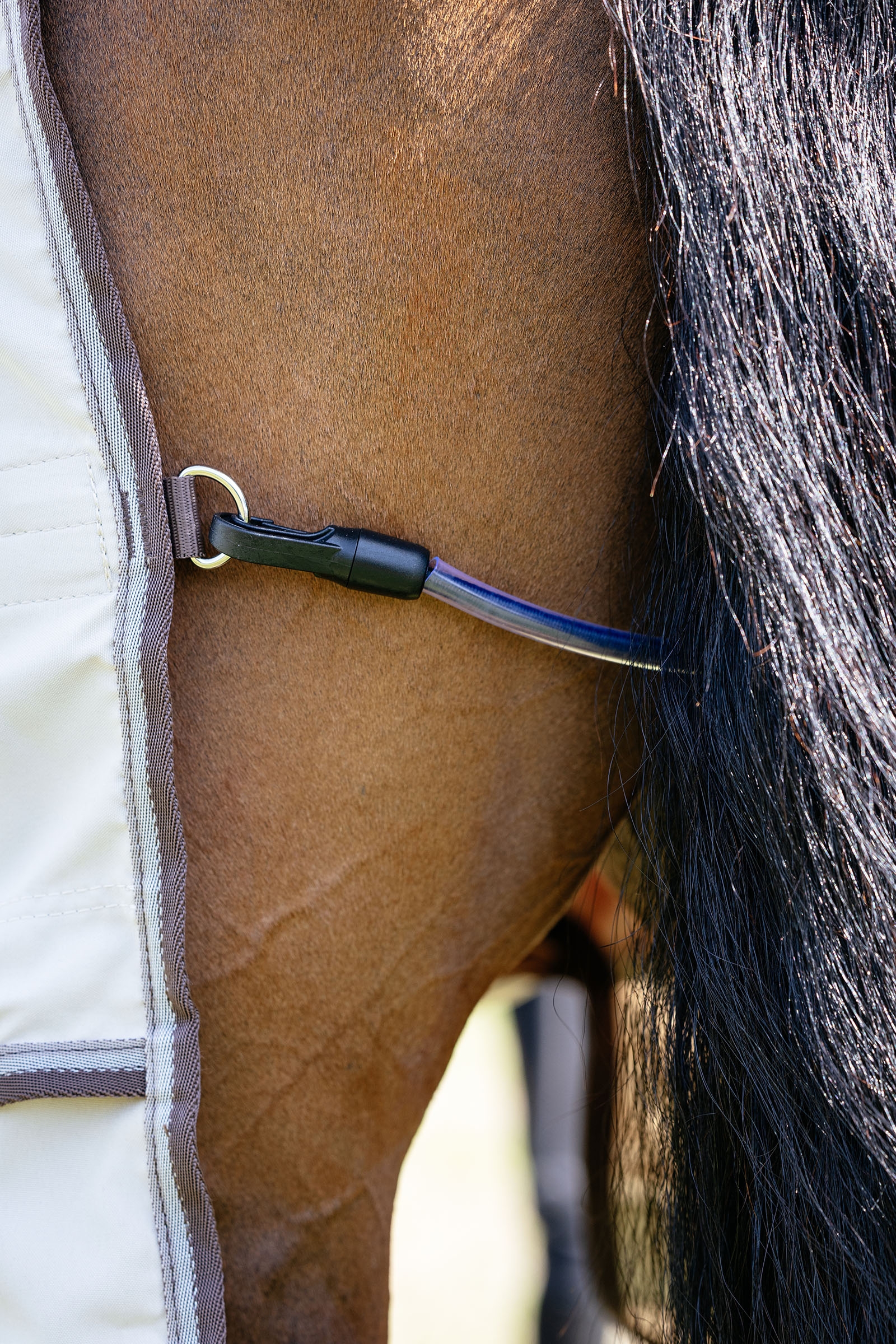 LeMieux Kudos Shower Pro eczeemdeken met afneembaar halsstuk