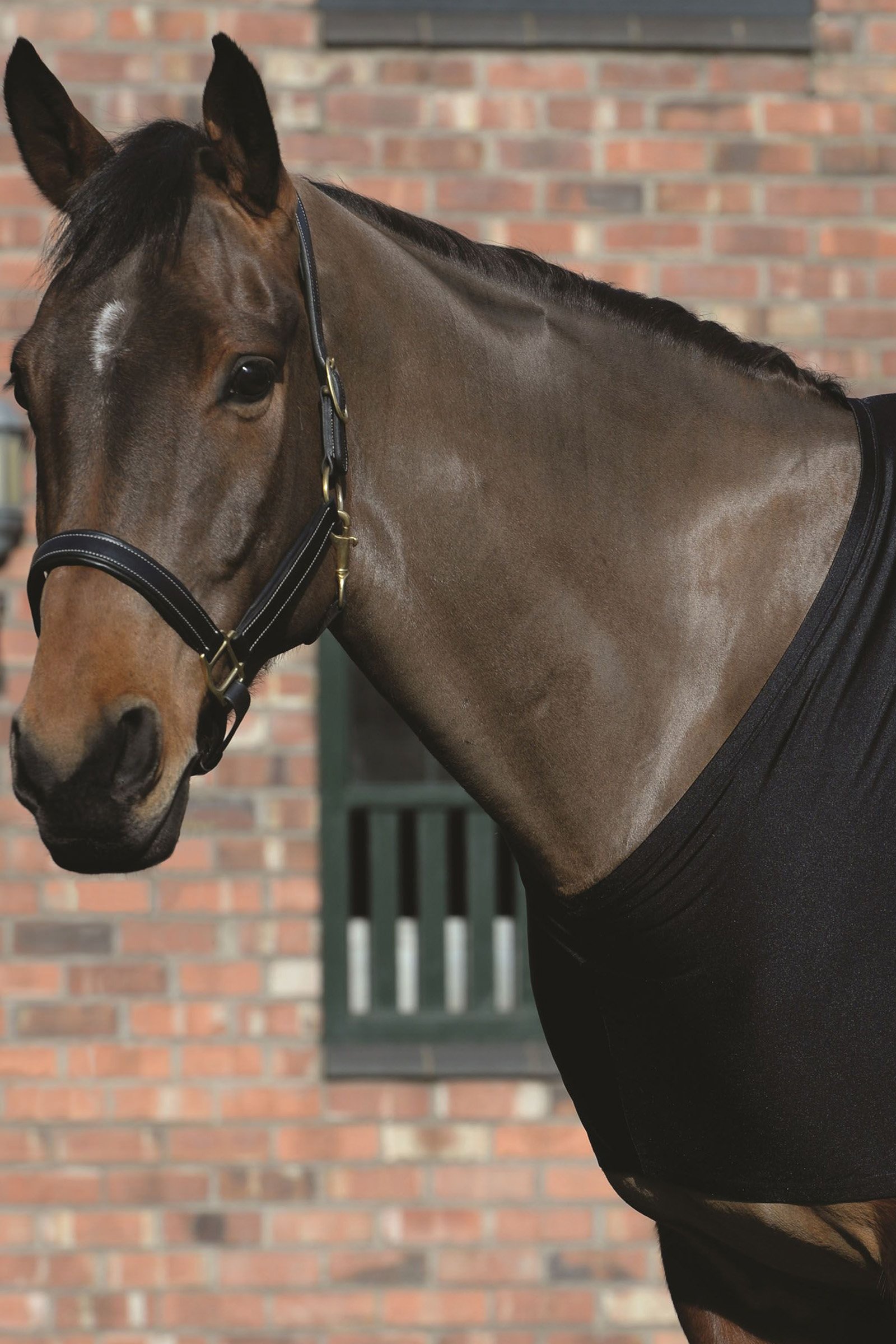 Weatherbeeta Stretch Borstbeschermer