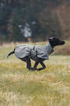 Back on Track Bark All-Round Dog Coat, 70-80cm