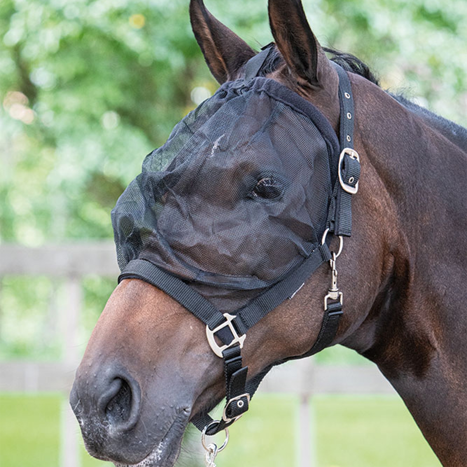 Harry's Horse Fly Mask Headcollar