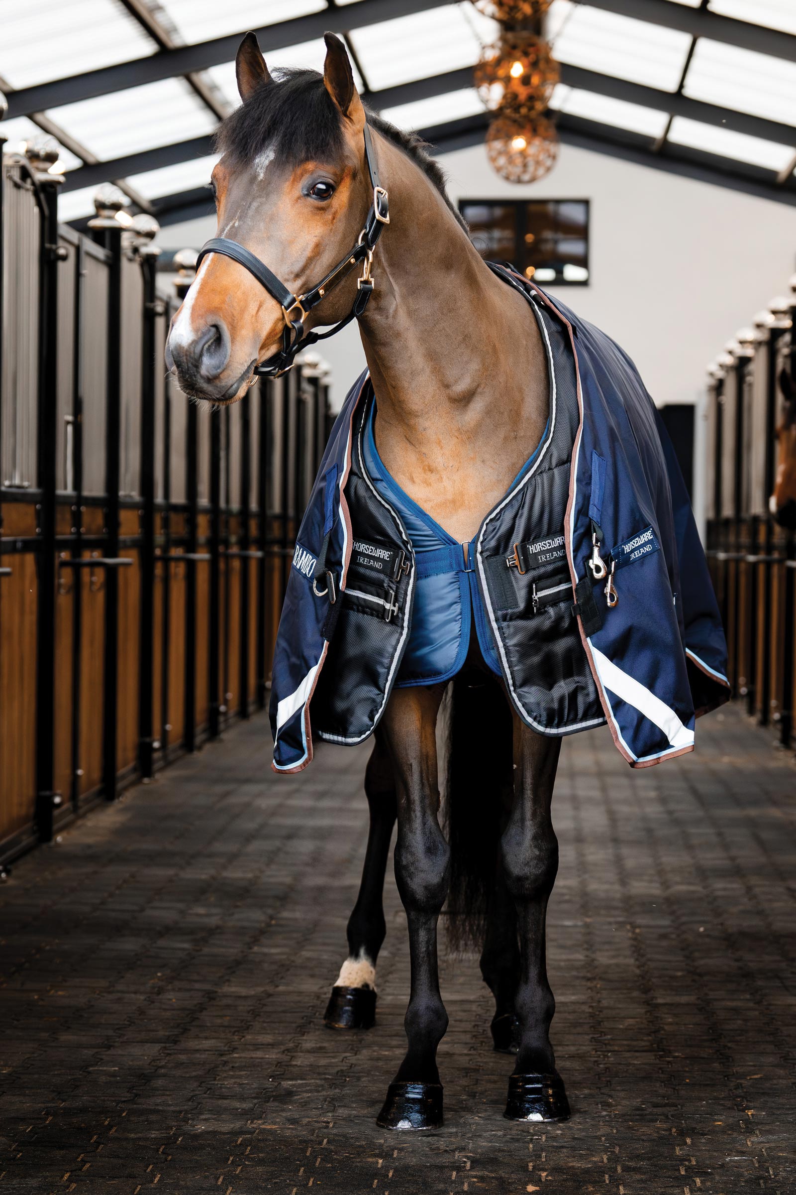 Horseware Easy-Layer stal deken 100g