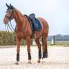 Back on Track Night Collection Zadeldekje Dressuur