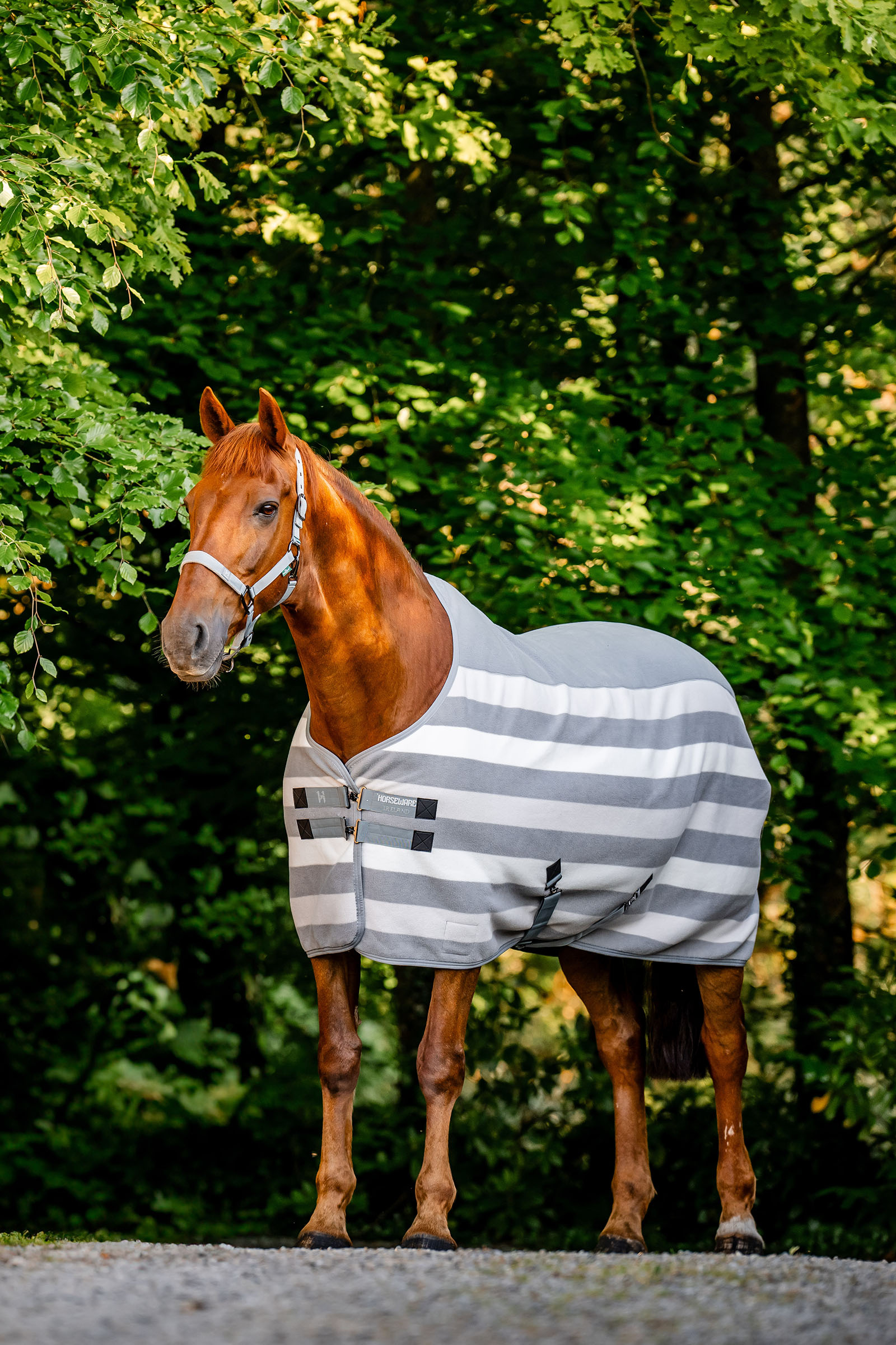 Horseware Newmarket Fleece Cooler deken