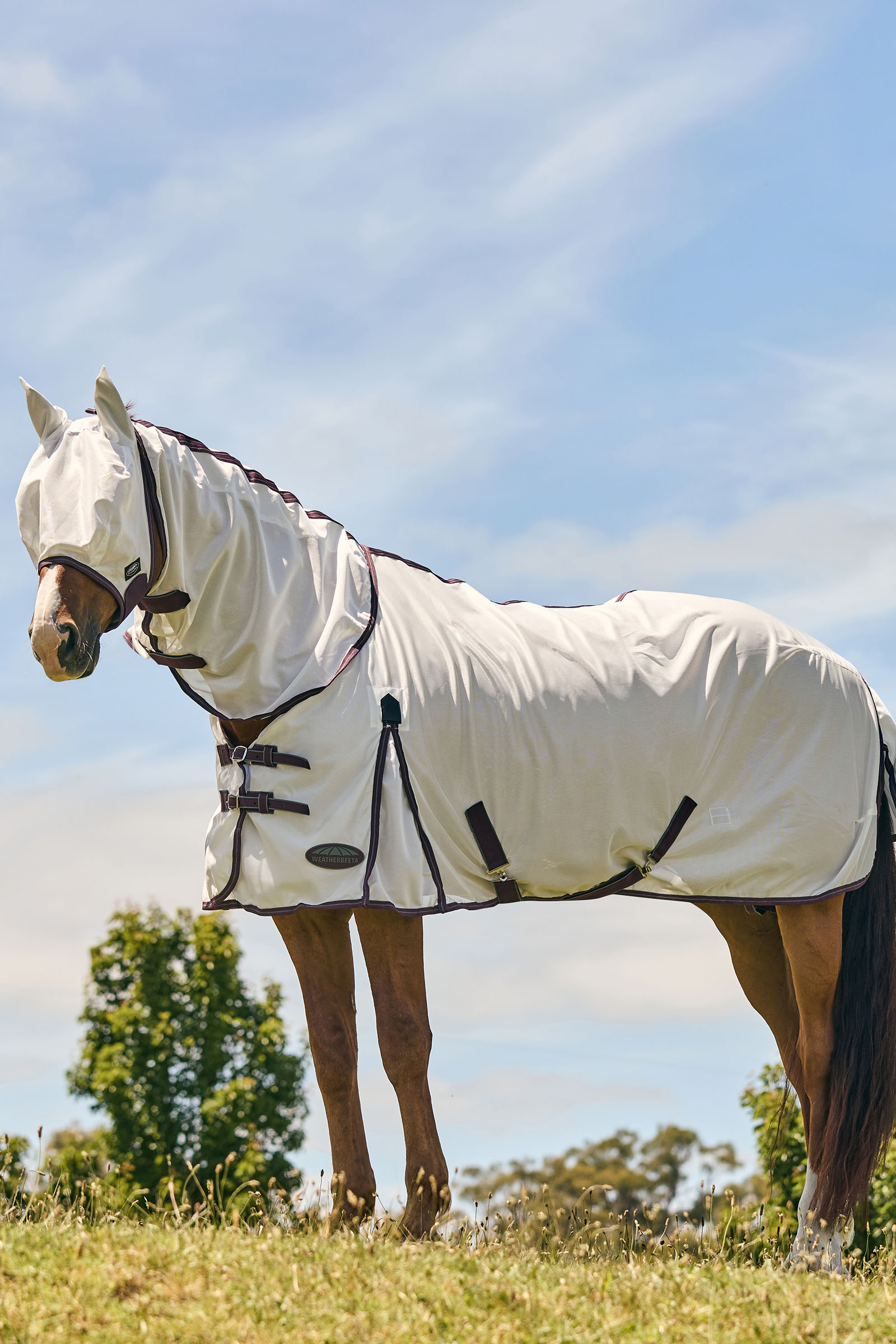 Weatherbeeta Comfitec Essential meshmasker