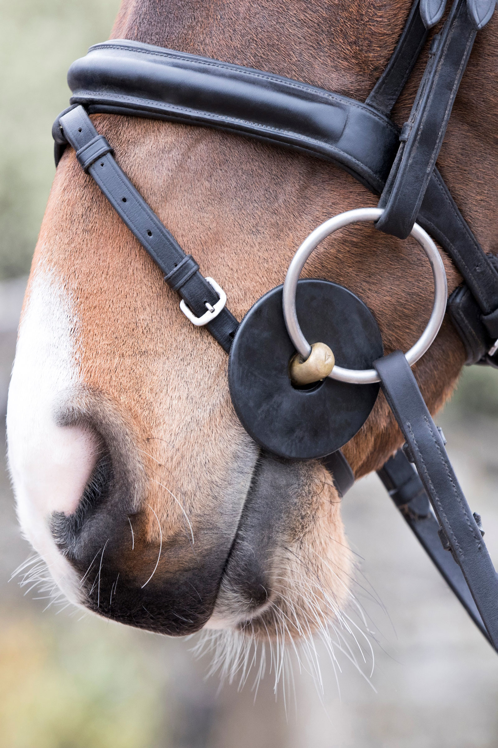 LeMieux siliconen bitringen