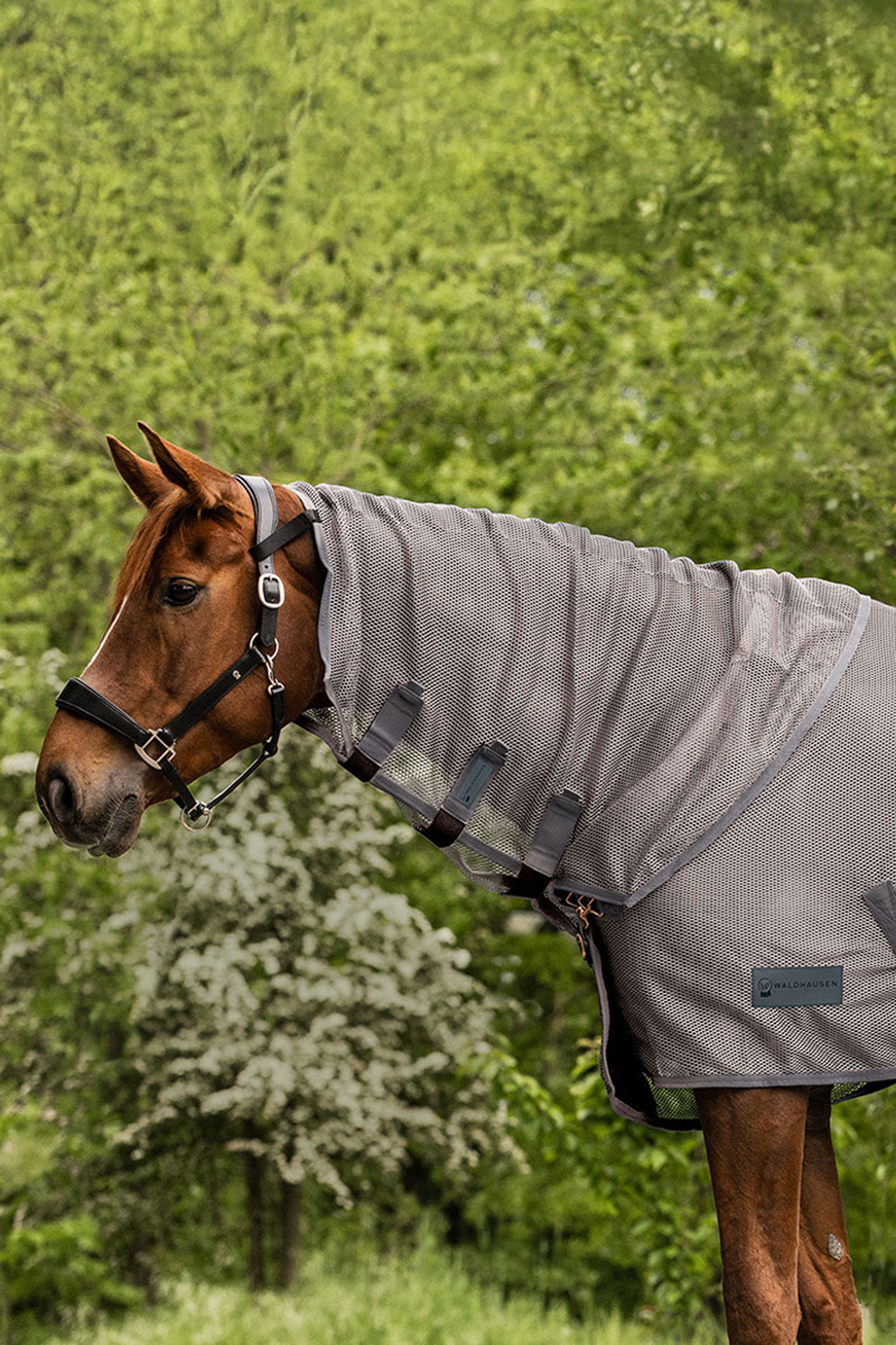 Grey Waldhausen Comfort vliegendeken halstuk