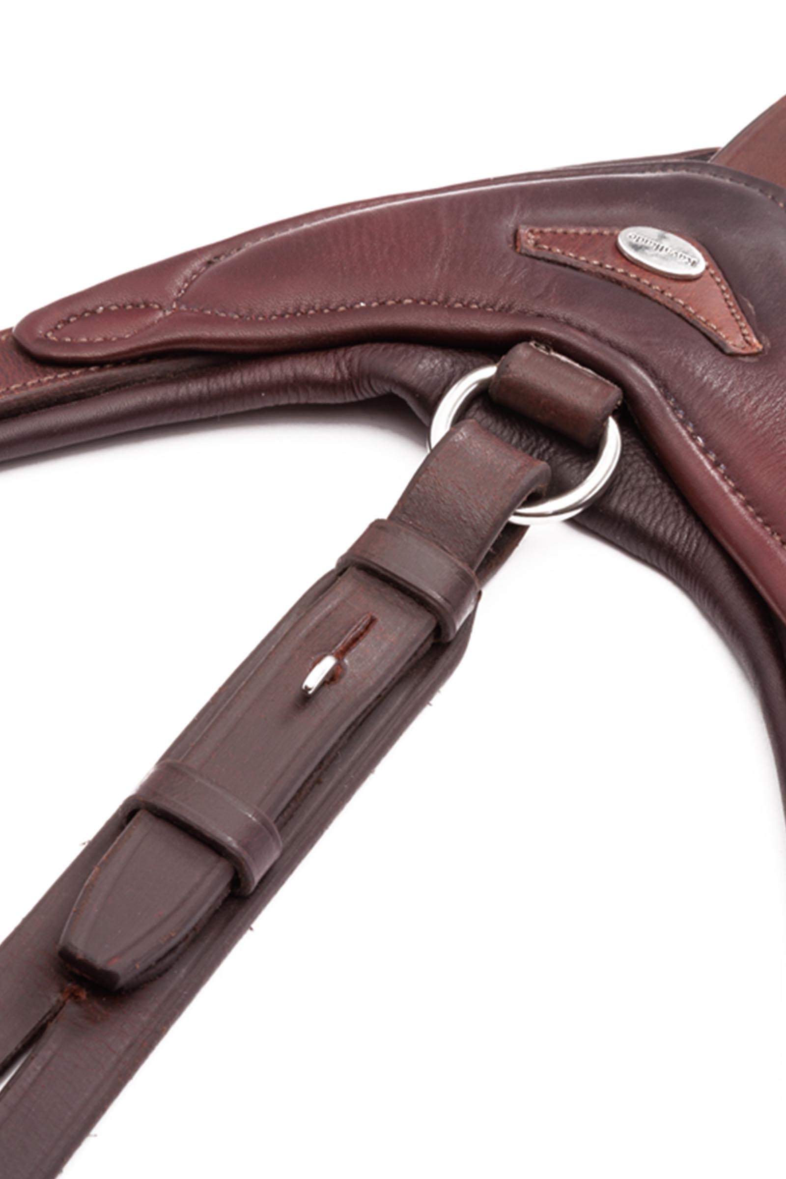 Kavalkade Azriel martingaal, zacht gevoerd