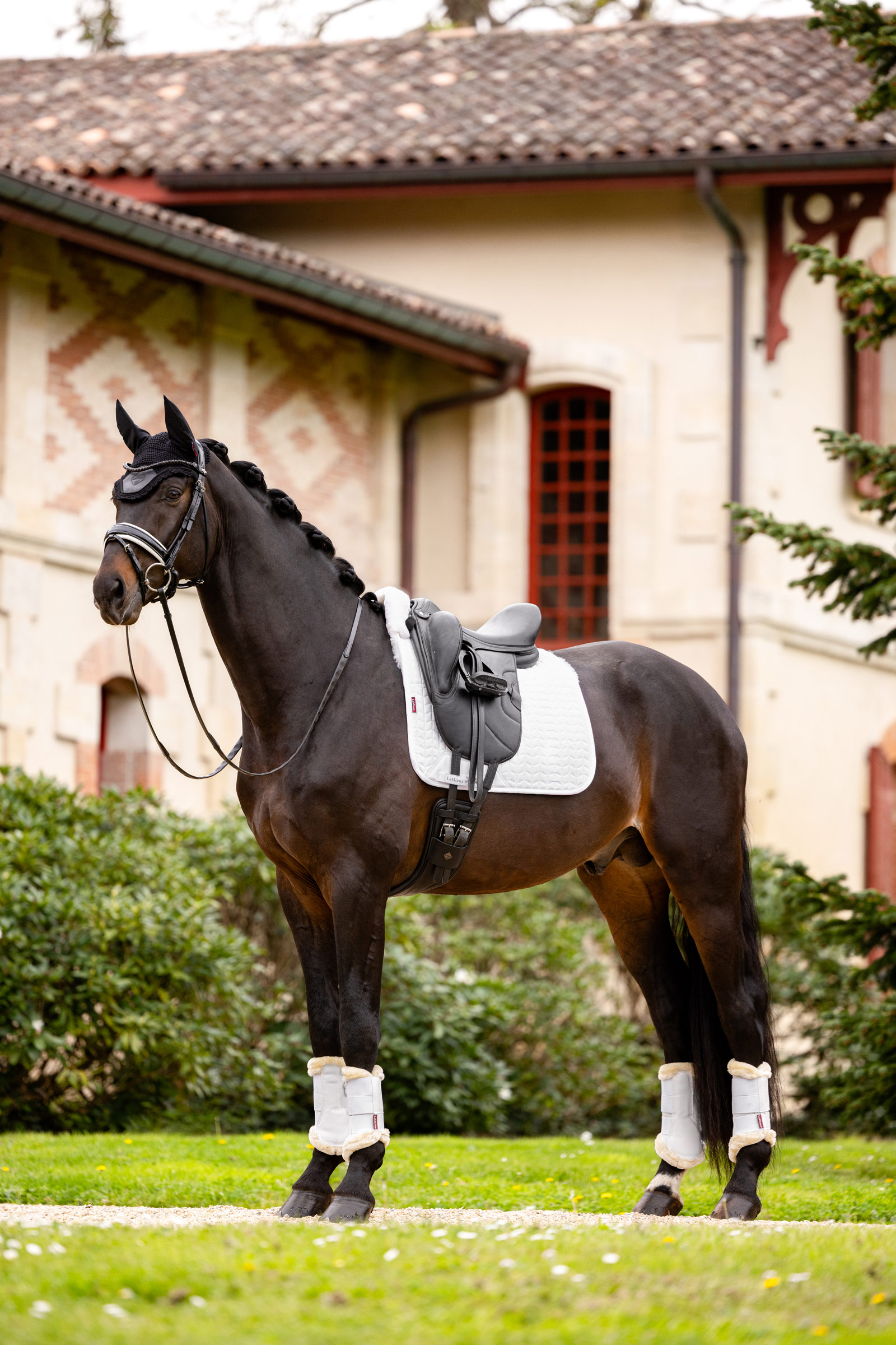 LeMieux Merino+ Dressuur Dekjes, half gevoerd