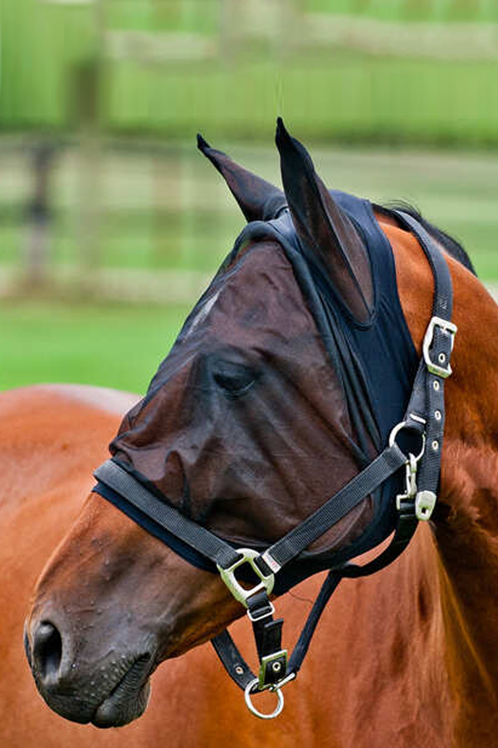 Horze Vliegenmasker van Gaas