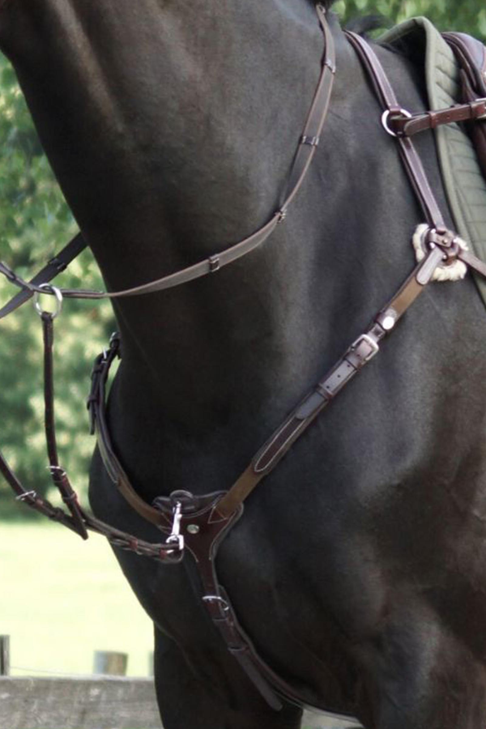 Kavalkade Bianca 5-punts borsttuig met elastiek