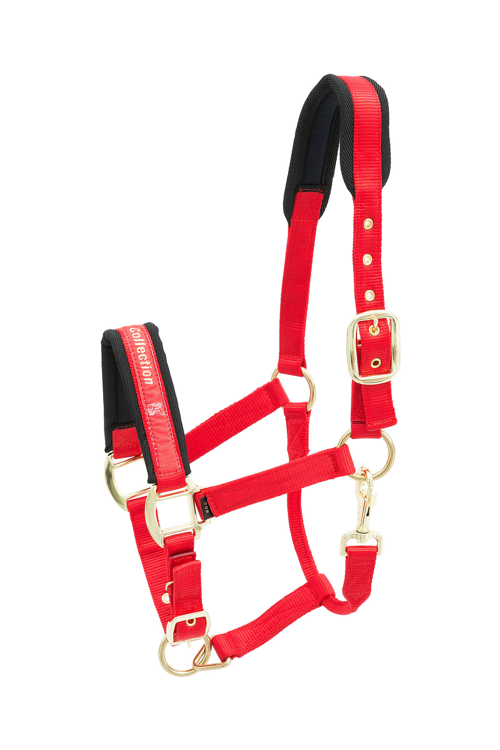 Red Kieffer Collectie Nylon Halster