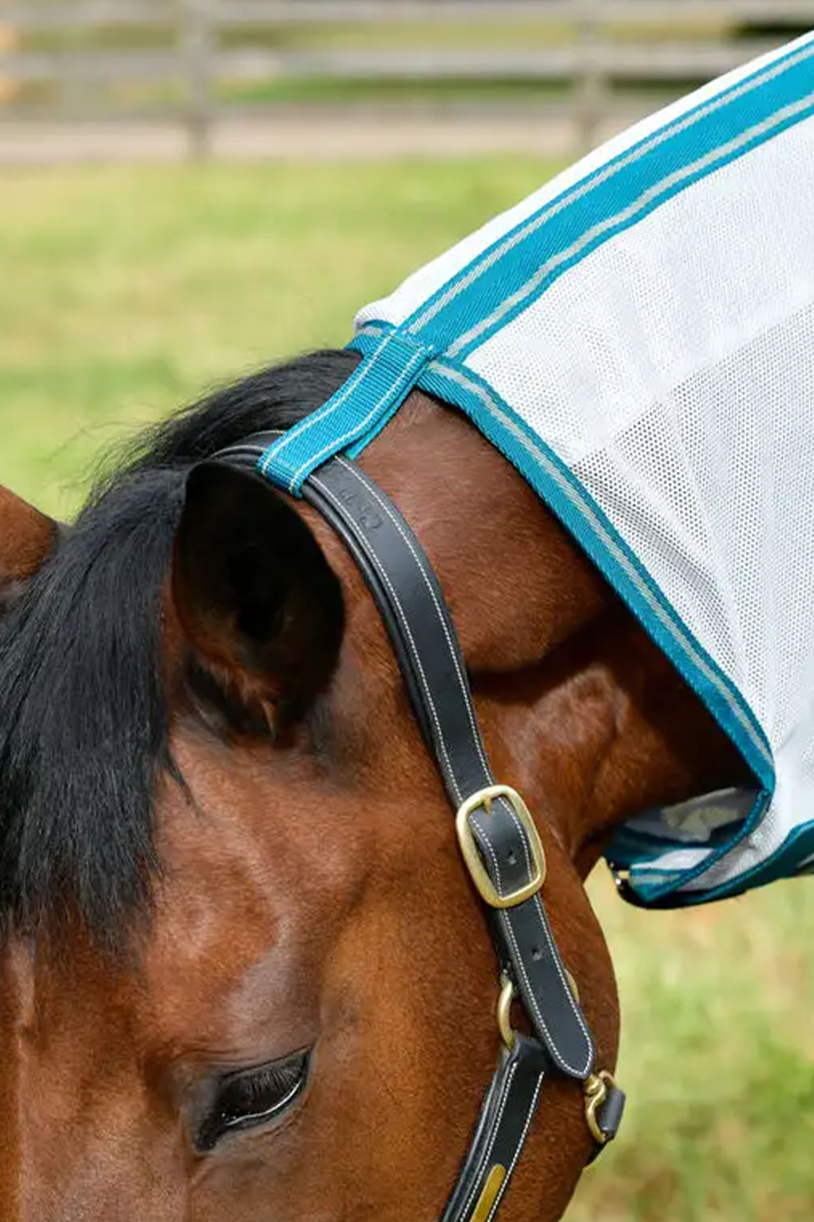 Weatherbeeta Comfitec Zephyr Plus Mesh Combo Vliegendeken