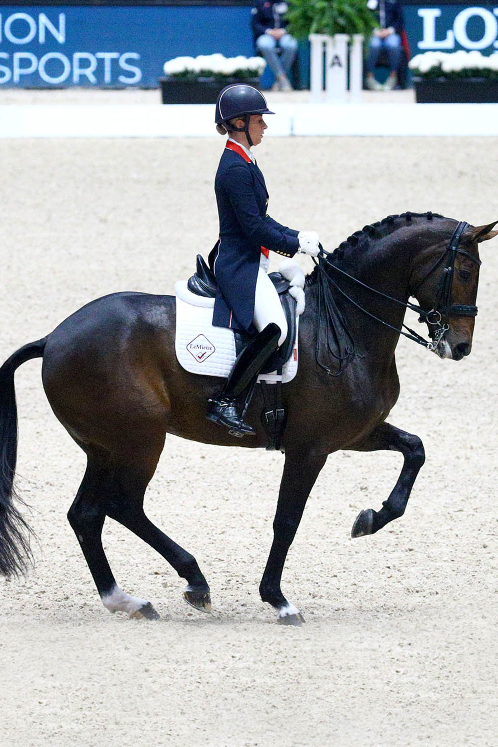 LeMieux Dressage Competition Square dressuurzadeldek