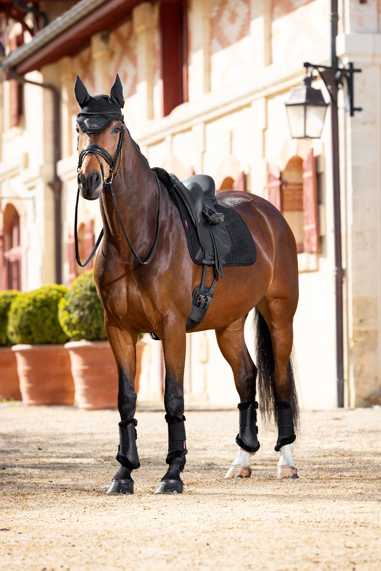 LeMieux Merino+ Dressuur Dekje met suède-effect, half gevoerd