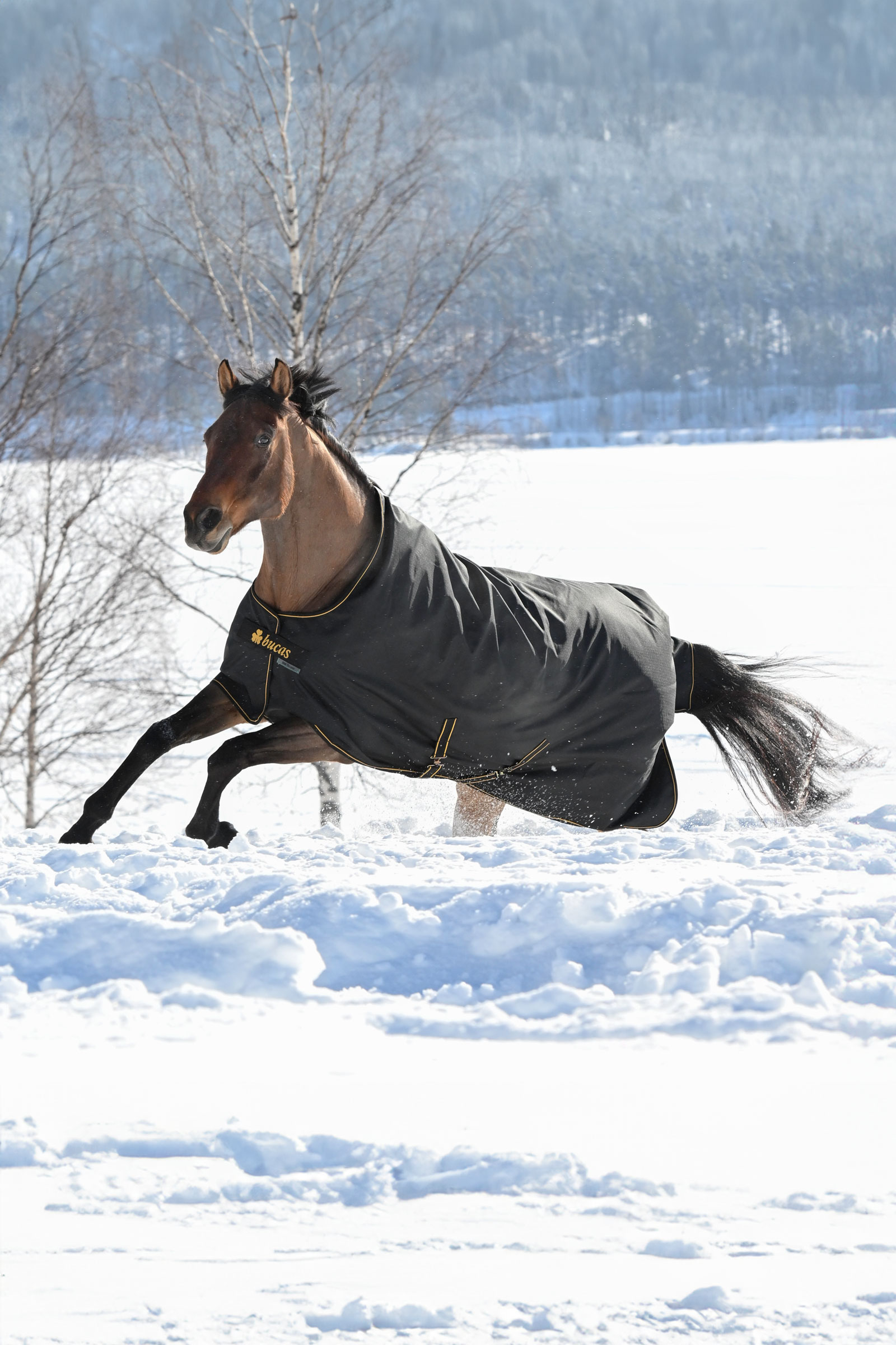 Bucas Irish outdoordeken, 300g