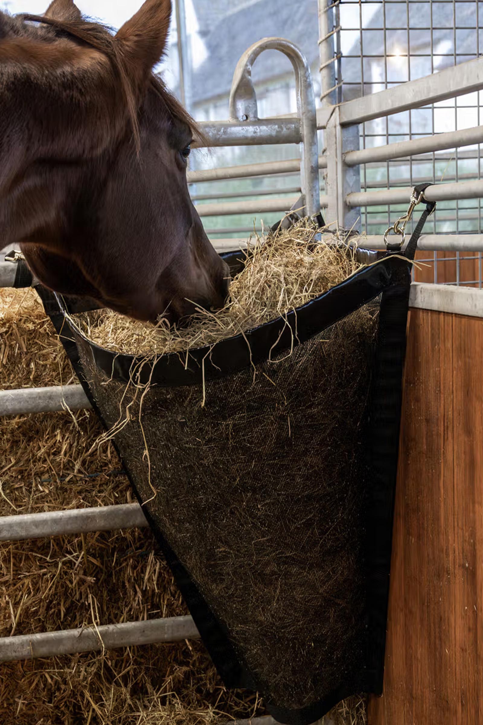 Kentucky hoek-hooinet, groot  