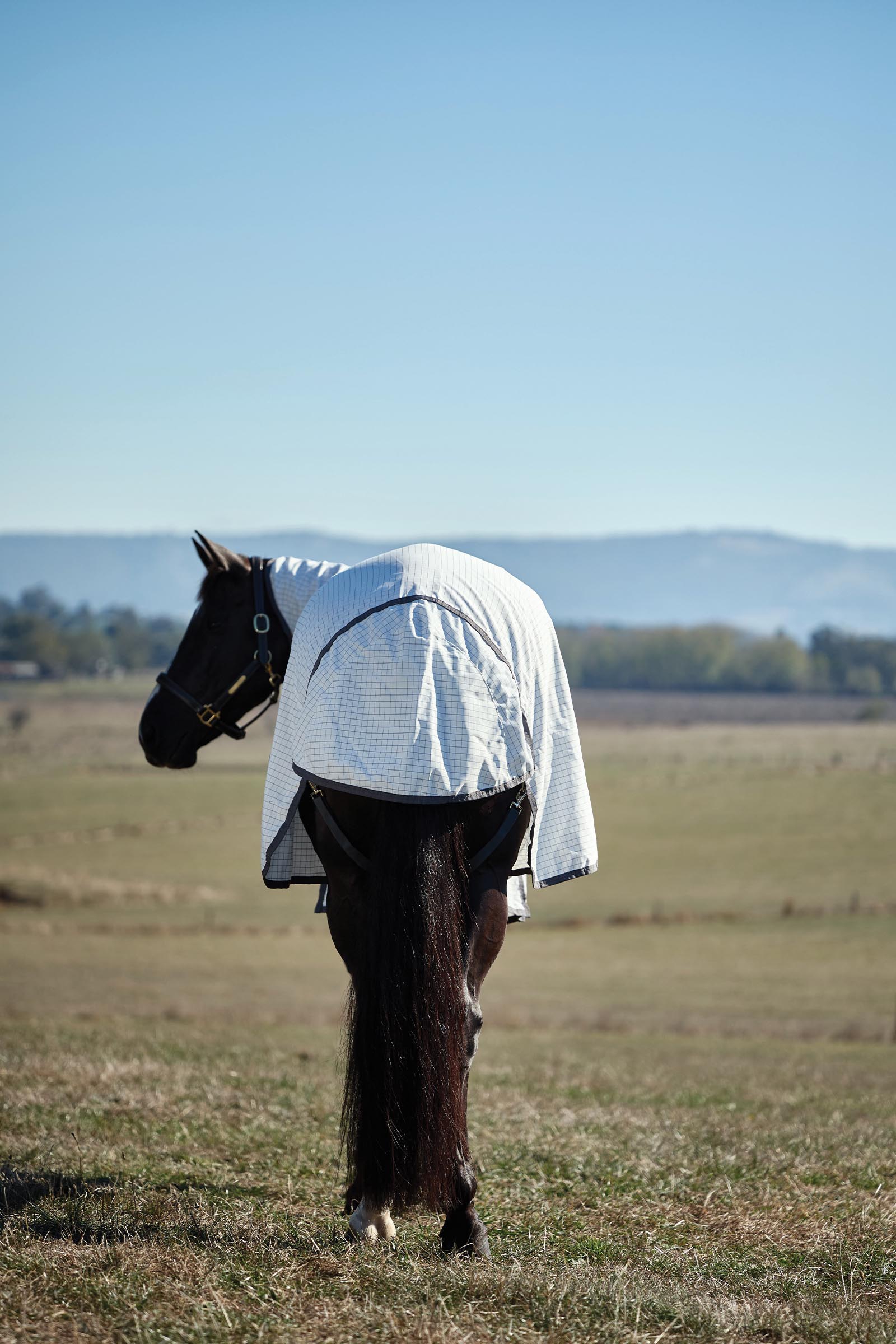 Weatherbeeta Hybrid deken combo met vaste hals, 0 g  