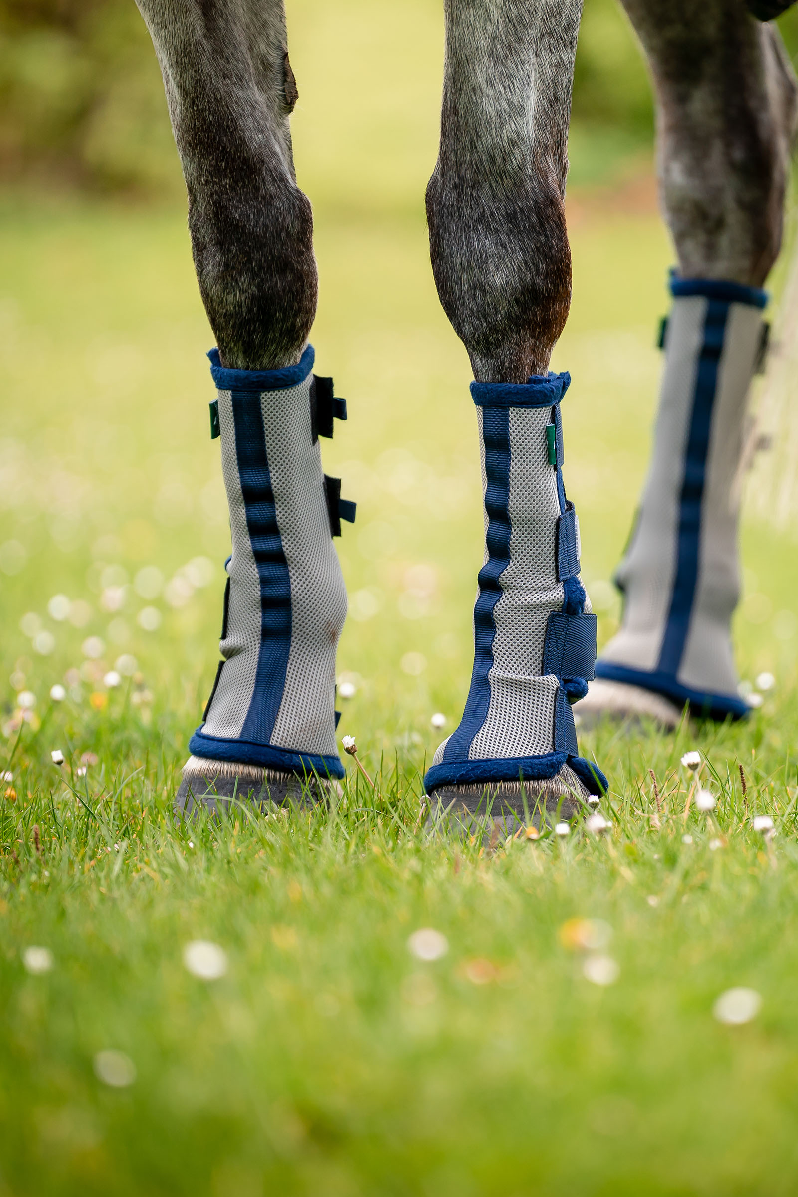 Horseware Fly Boots - set van 2