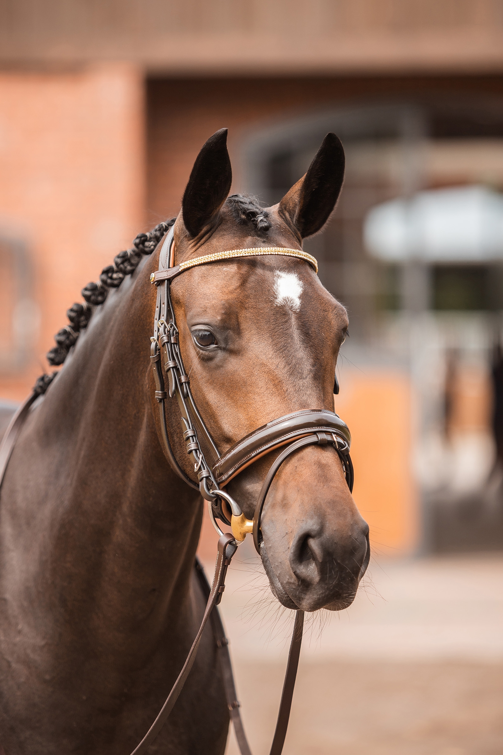 Horze Nancy Crystal and Wire frontriem