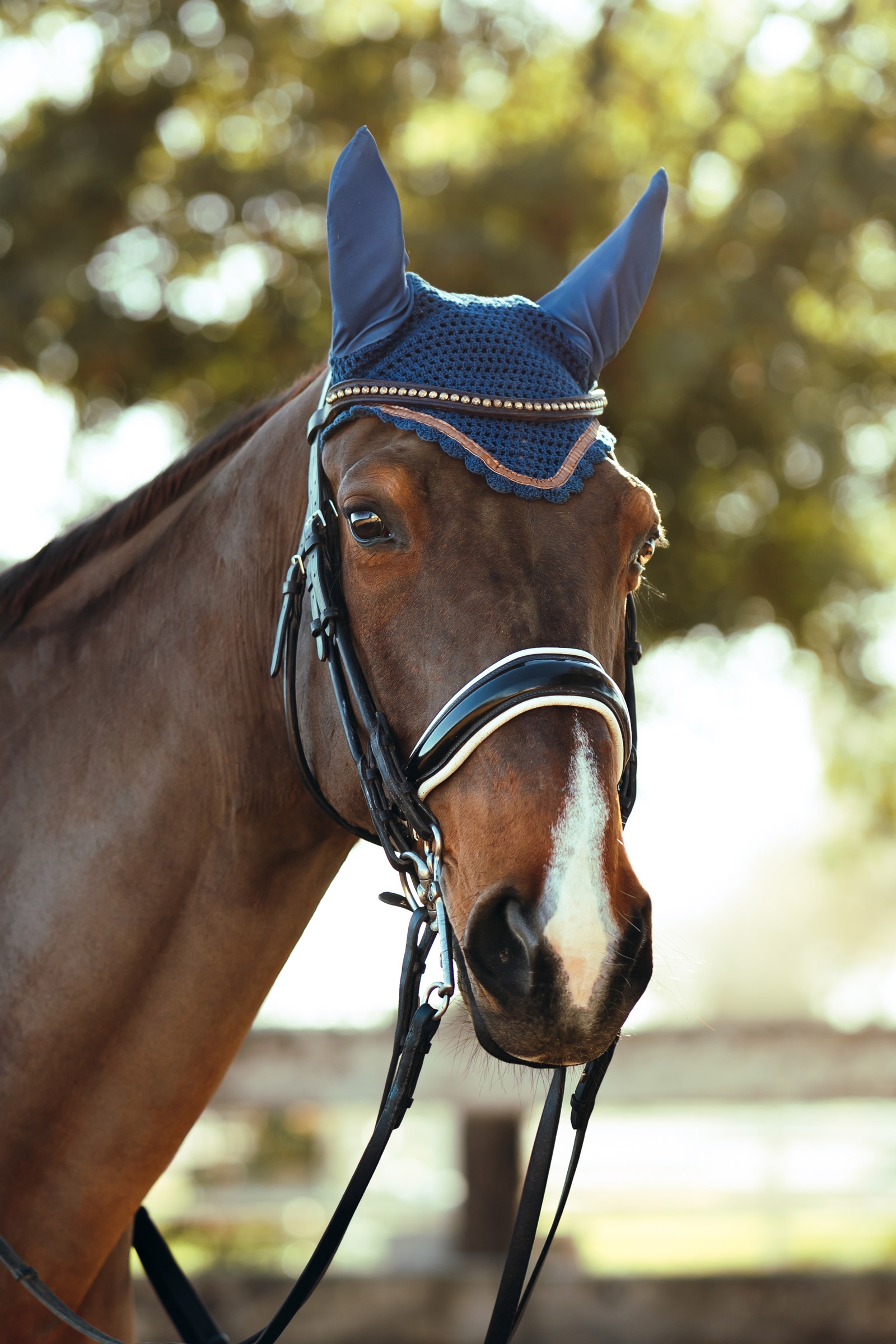 Horze Munich Oornetje met metallic detail