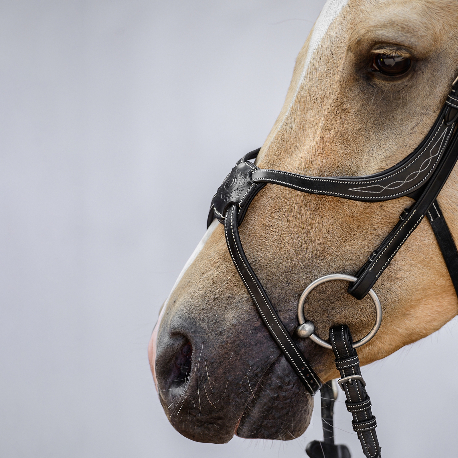 PS of Sweden Athens Mexicaans Hoofdstel