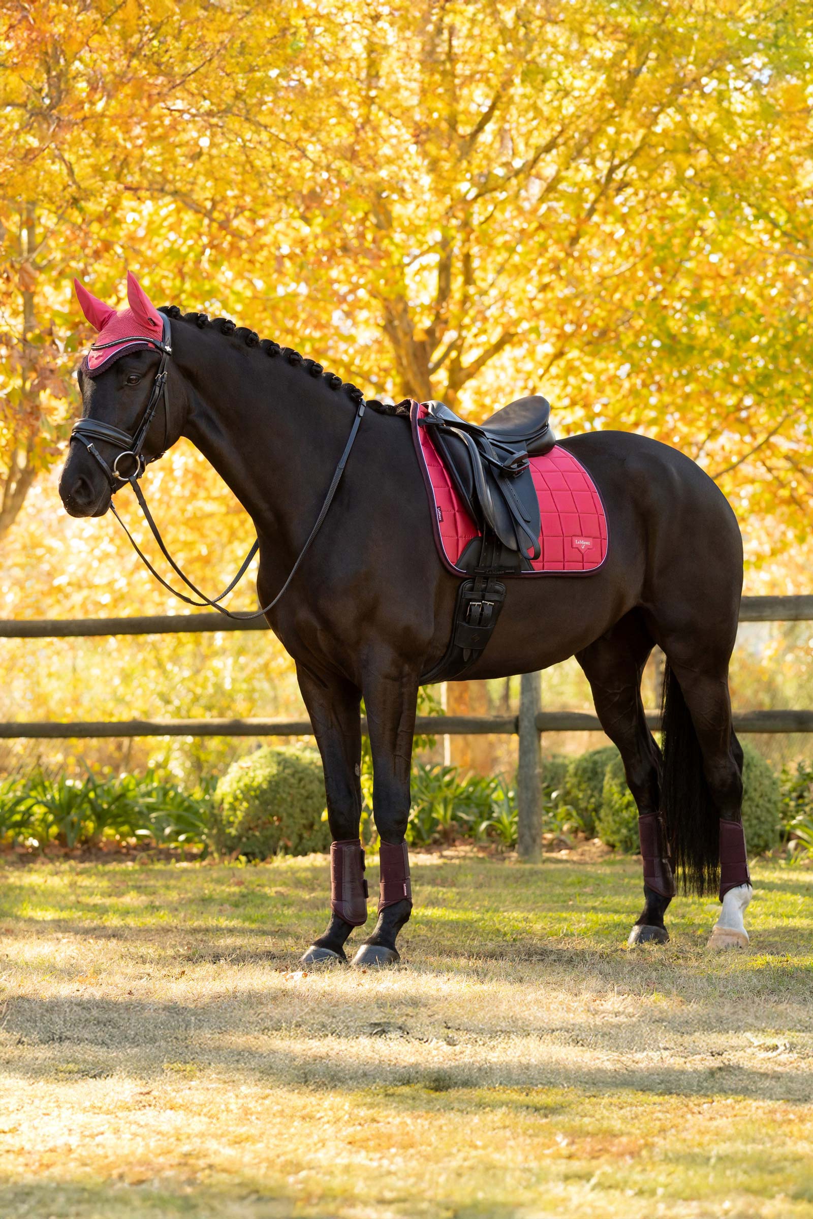 LeMieux Loire Classic Dressuurzadeldek