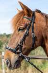 F.R.A. Freedom Riding Articles Pardoes de Luxe sidepull met teugels (system 3)