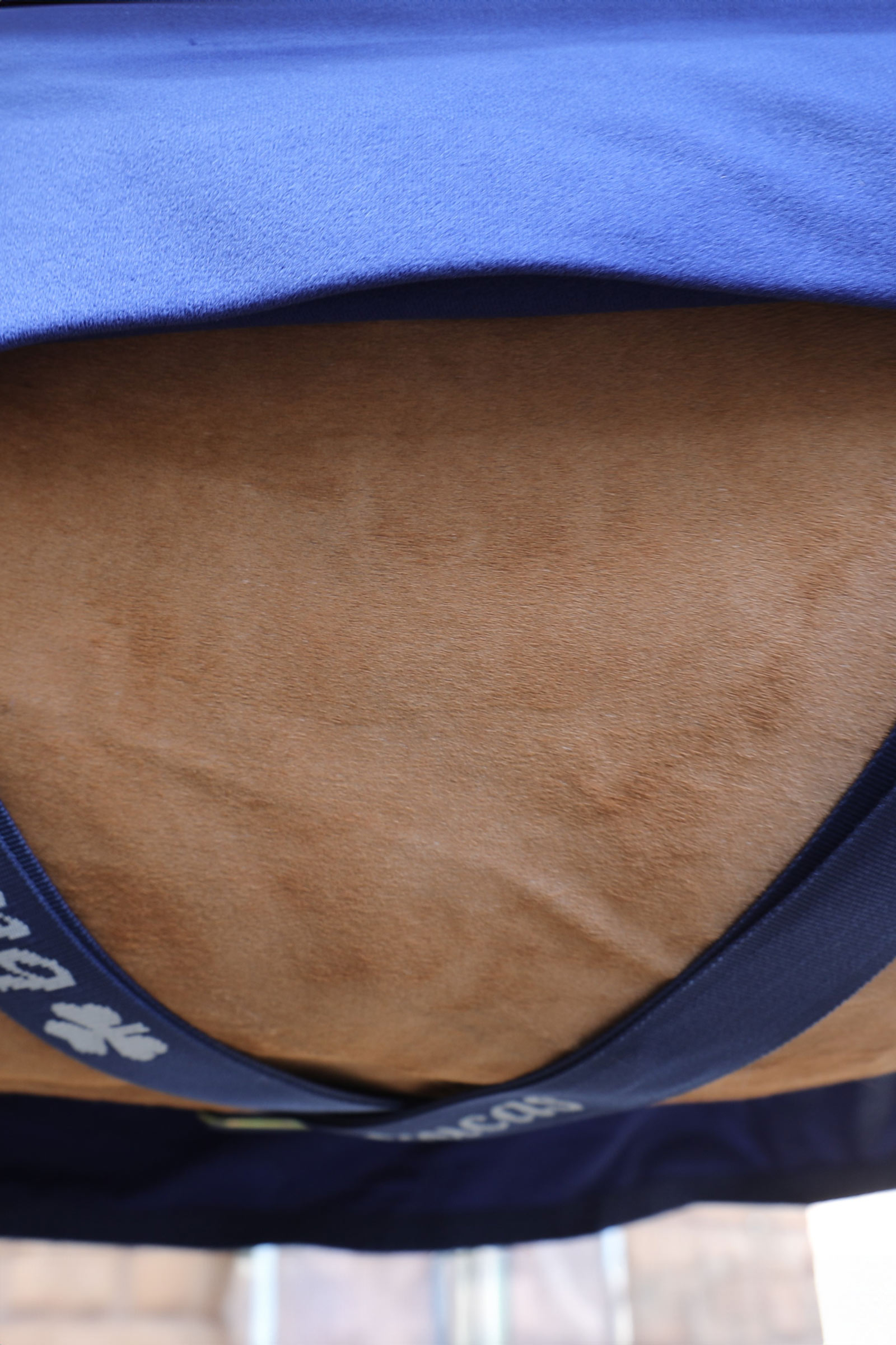 Bucas Power cooler deken + halsdeel set