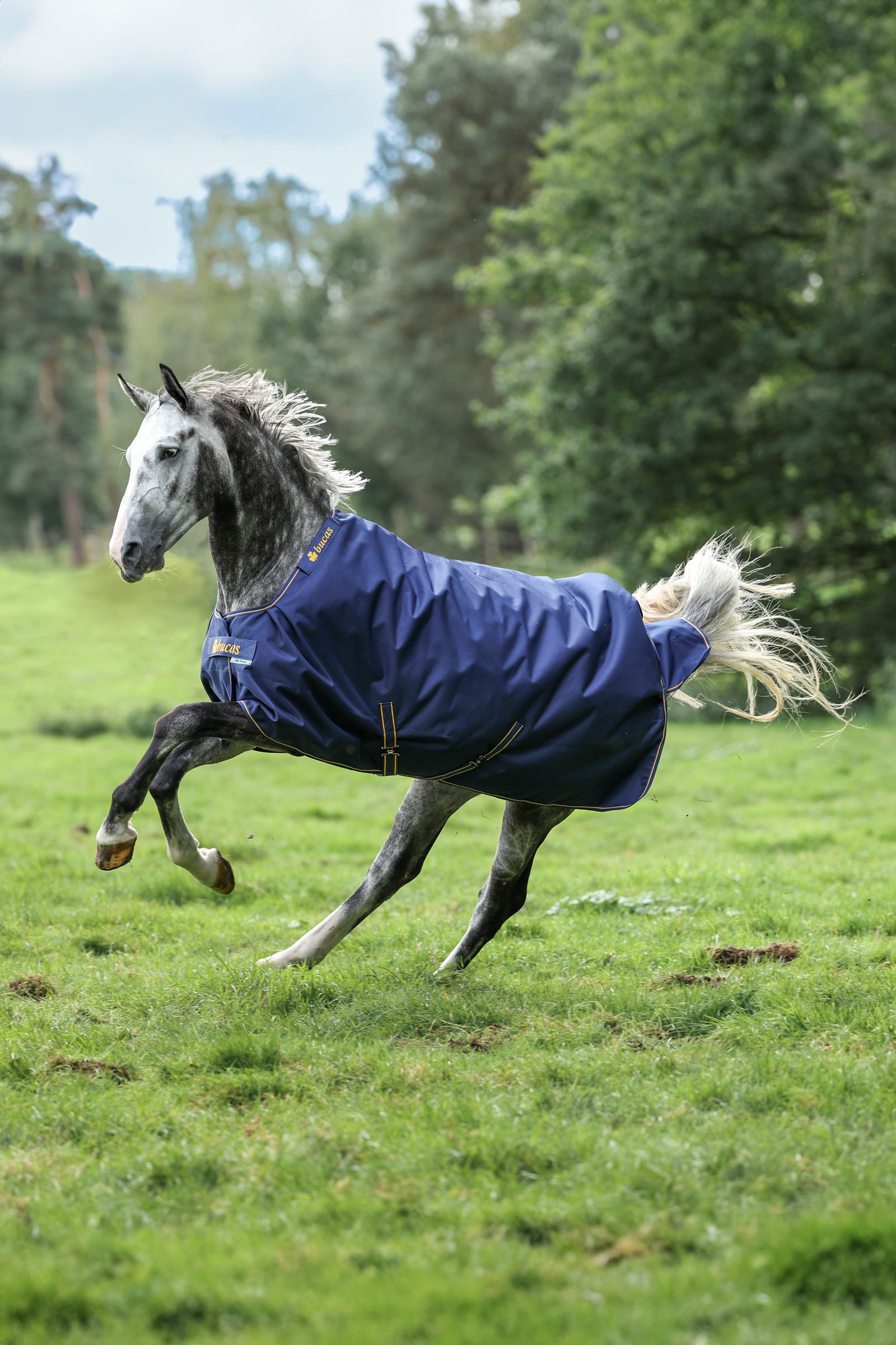 Bucas Irish outdoordeken, 150g