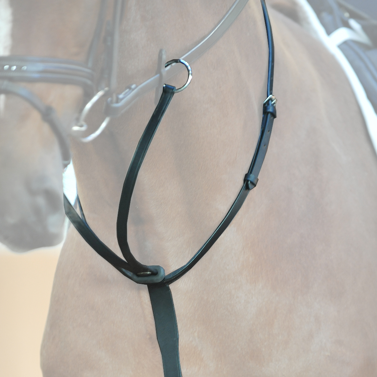 Kavalkade Martingaal