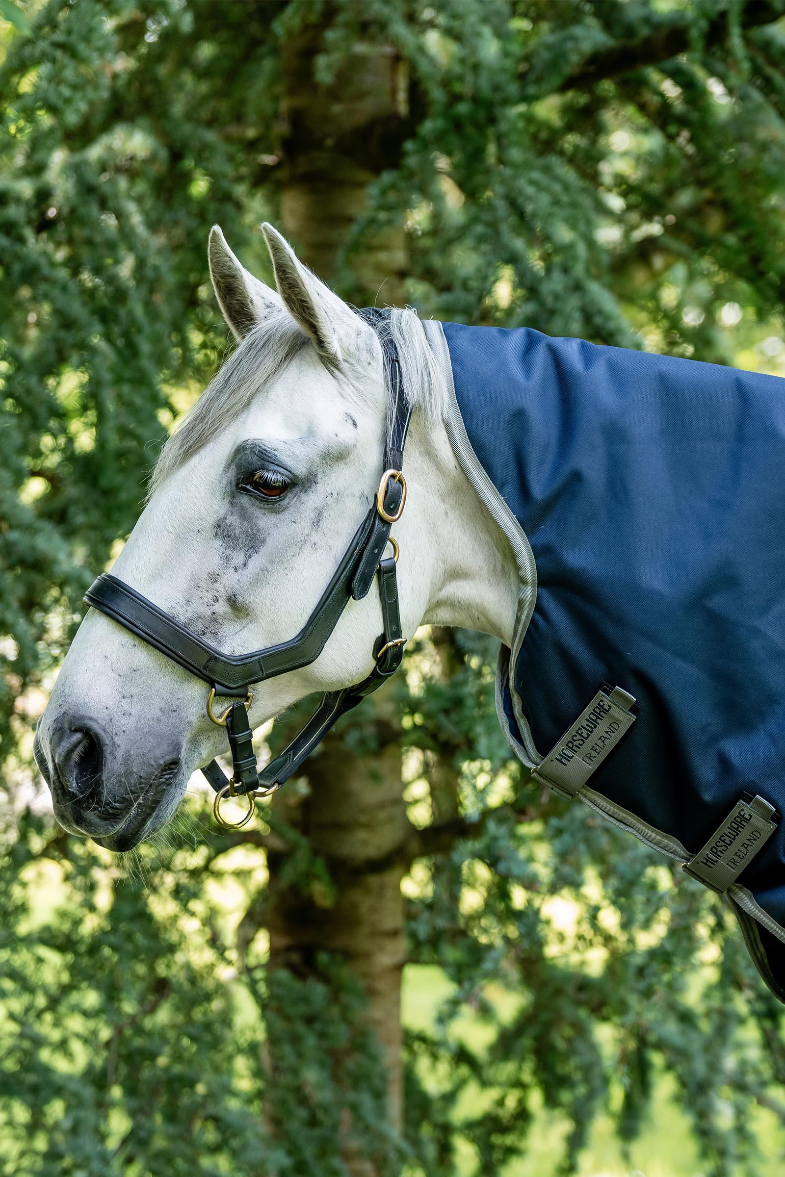 Horseware Amigo Bravo 12 Halsdeel 0g