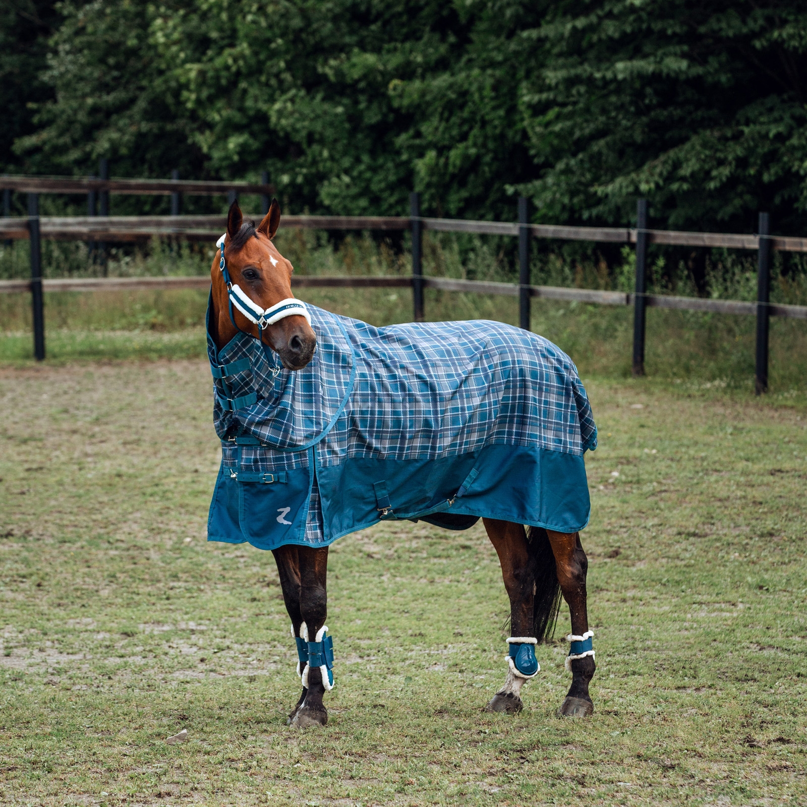 Horze Caliber Kogelbeschermers met voering