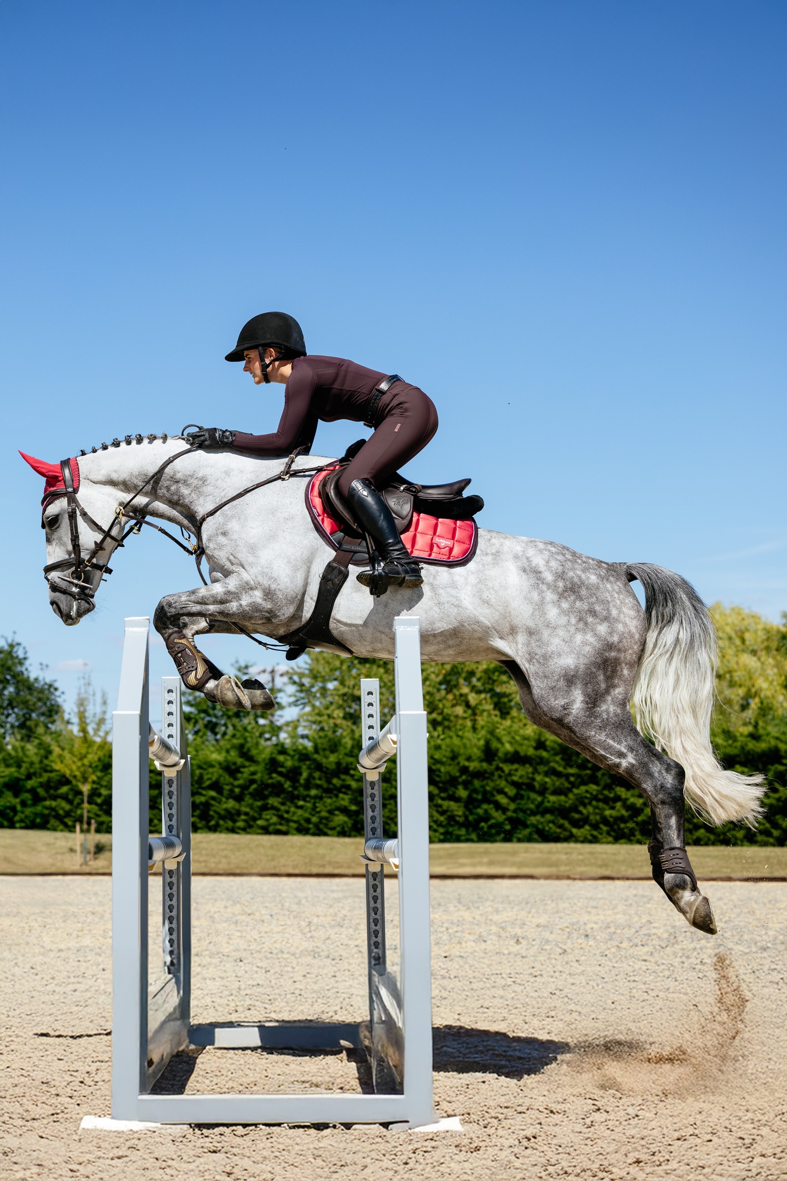 LeMieux Loire Square CC Springzadeldek