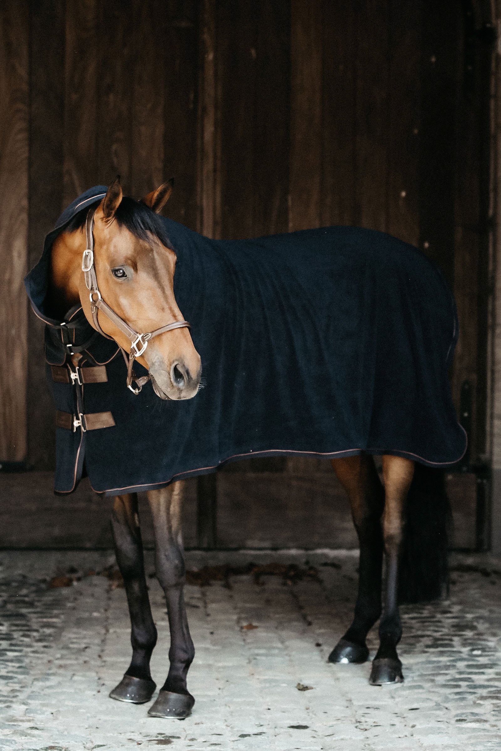 Kentucky Horsewear Towel Rug