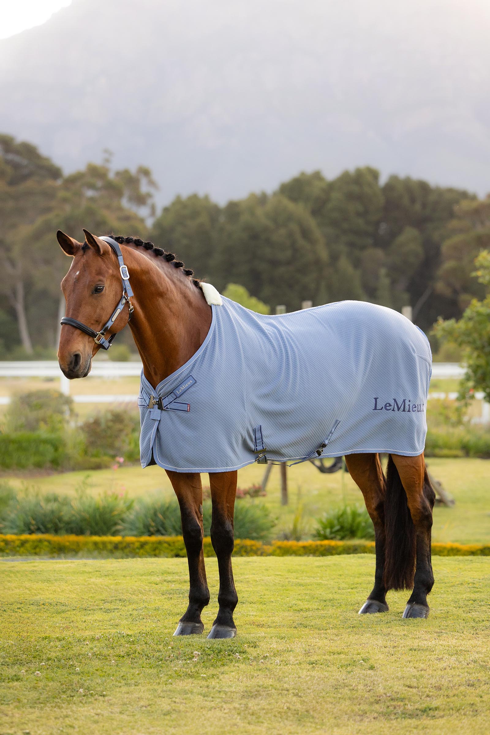 Powder Blue LeMieux Kudos bamboe cooler deken