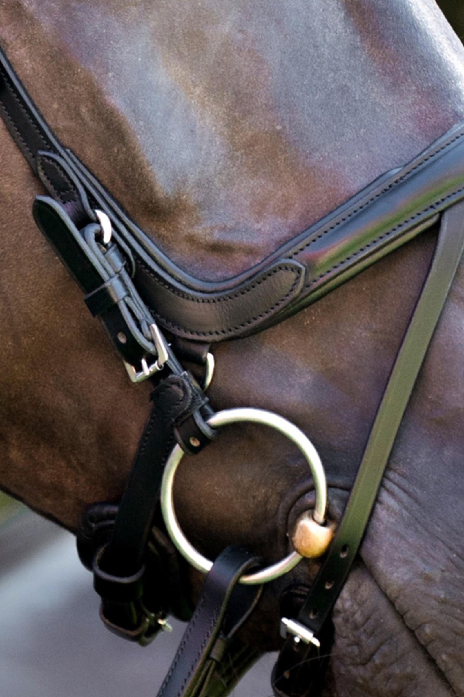 Kavalkade Cajus hoofdstel Engels gecombineerd anatomisch