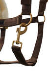 Horze St. Moritz halster