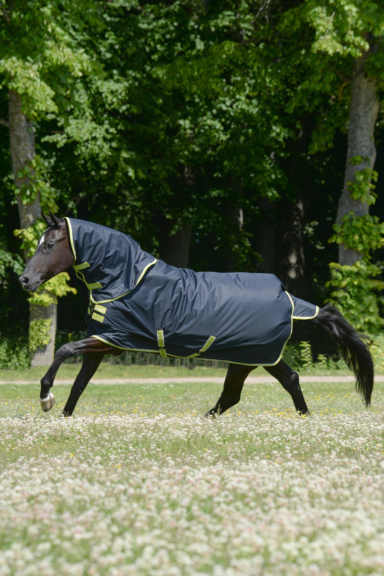 Bucas Oasis outdoordeken + halsdeel, 100g