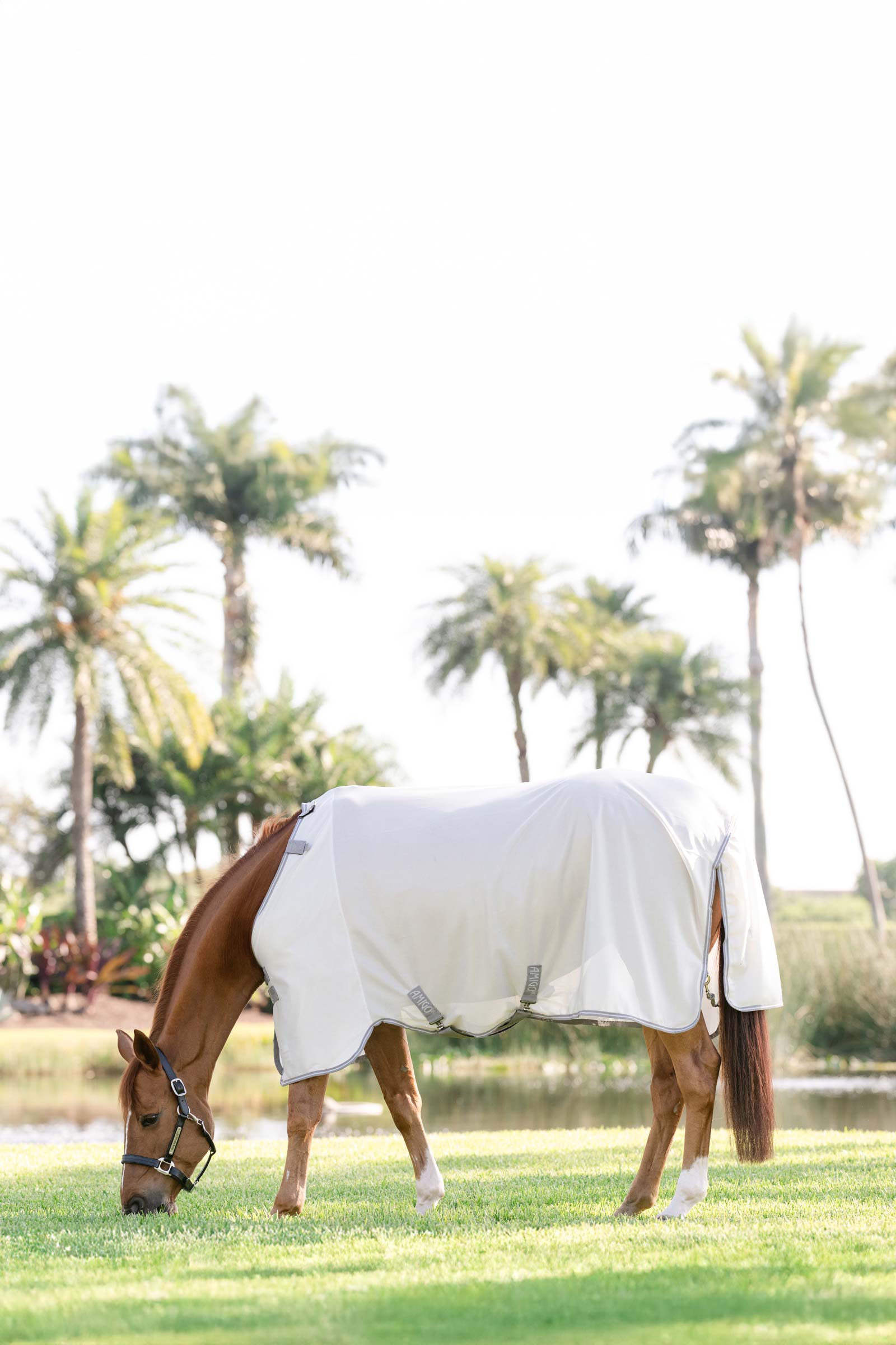 Horseware Amigo vliegendeken met UV-bescherming