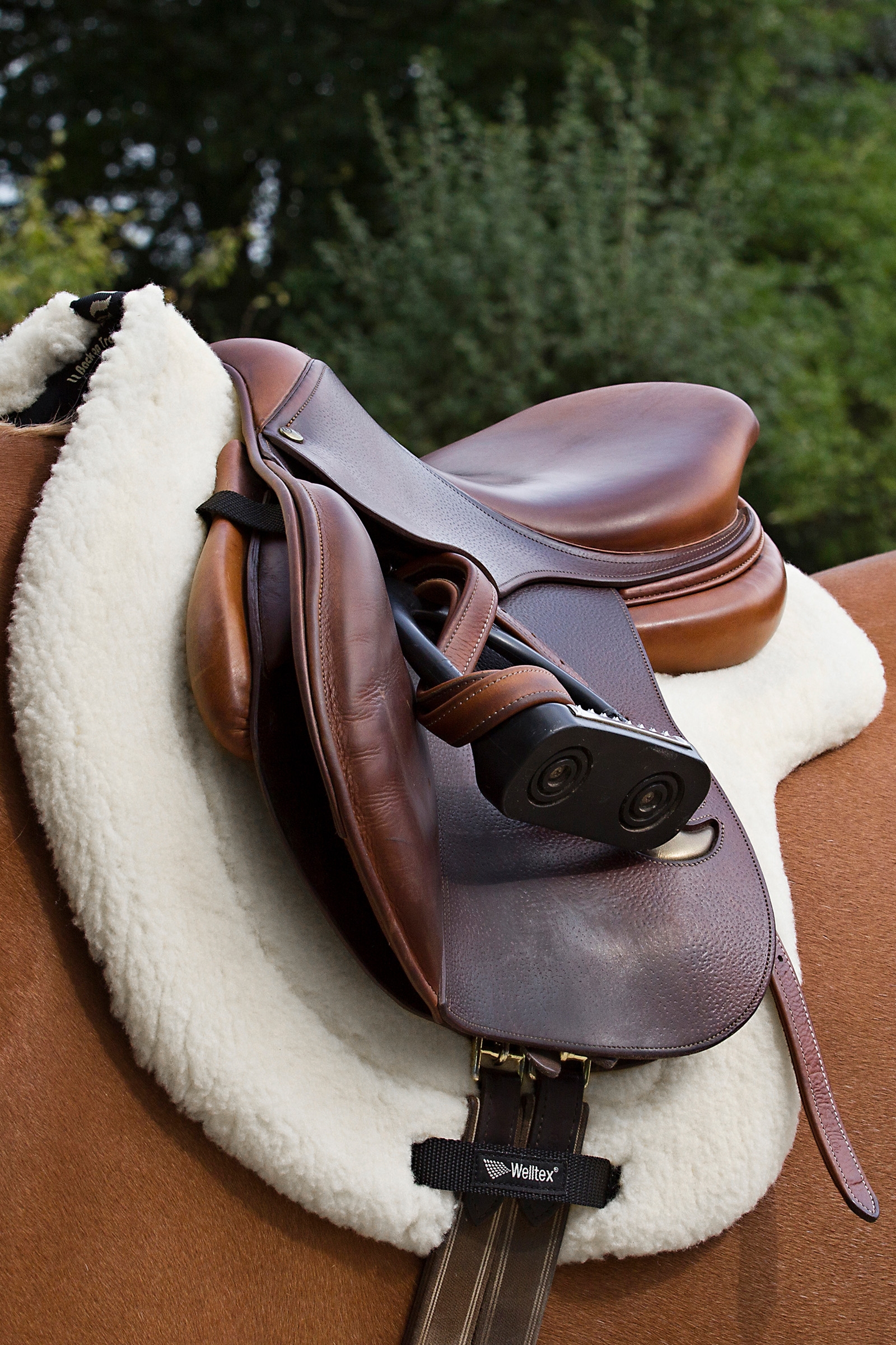 Back on Track "Teddy" Zadeldek