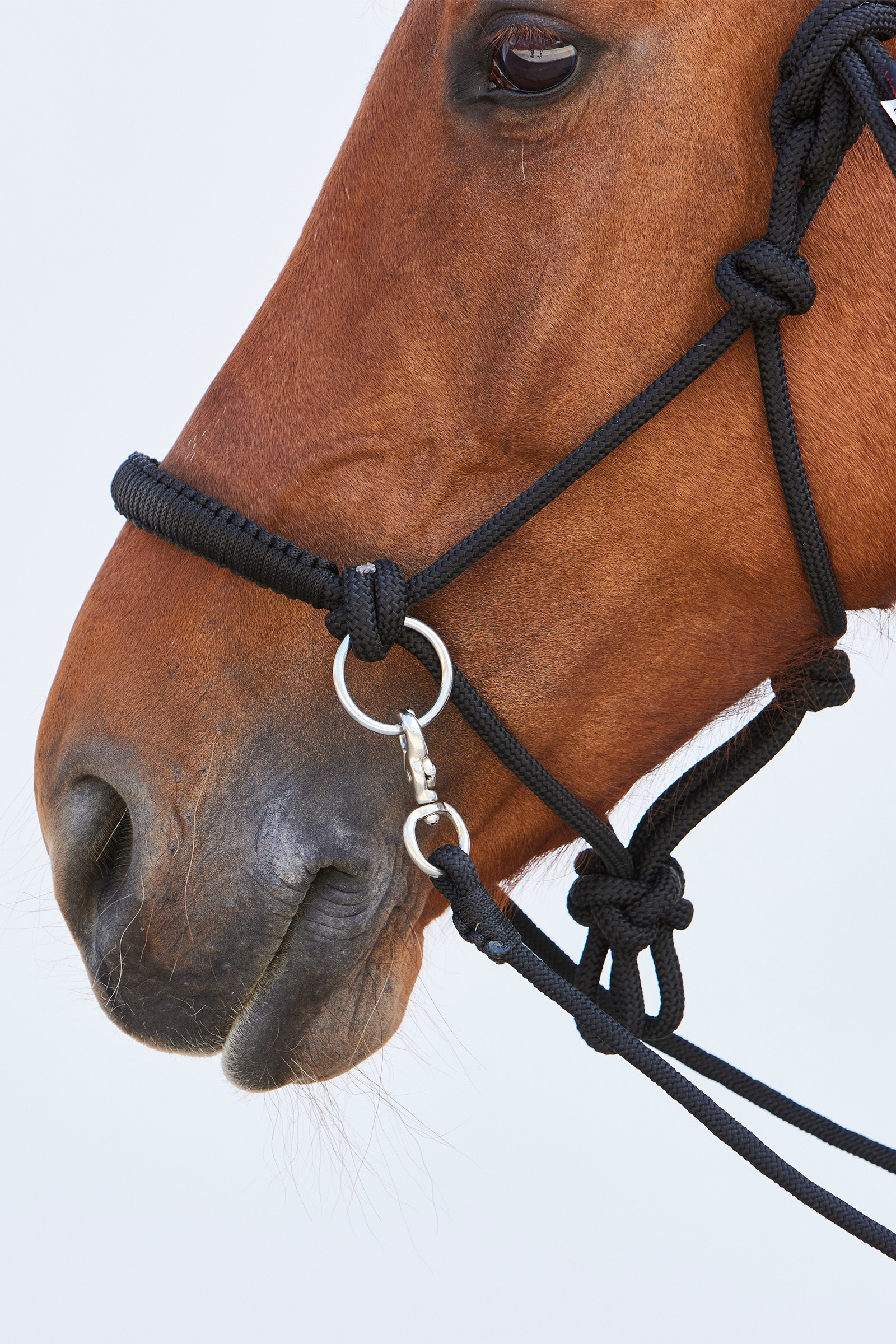 Kieffer Ruby touwhalster