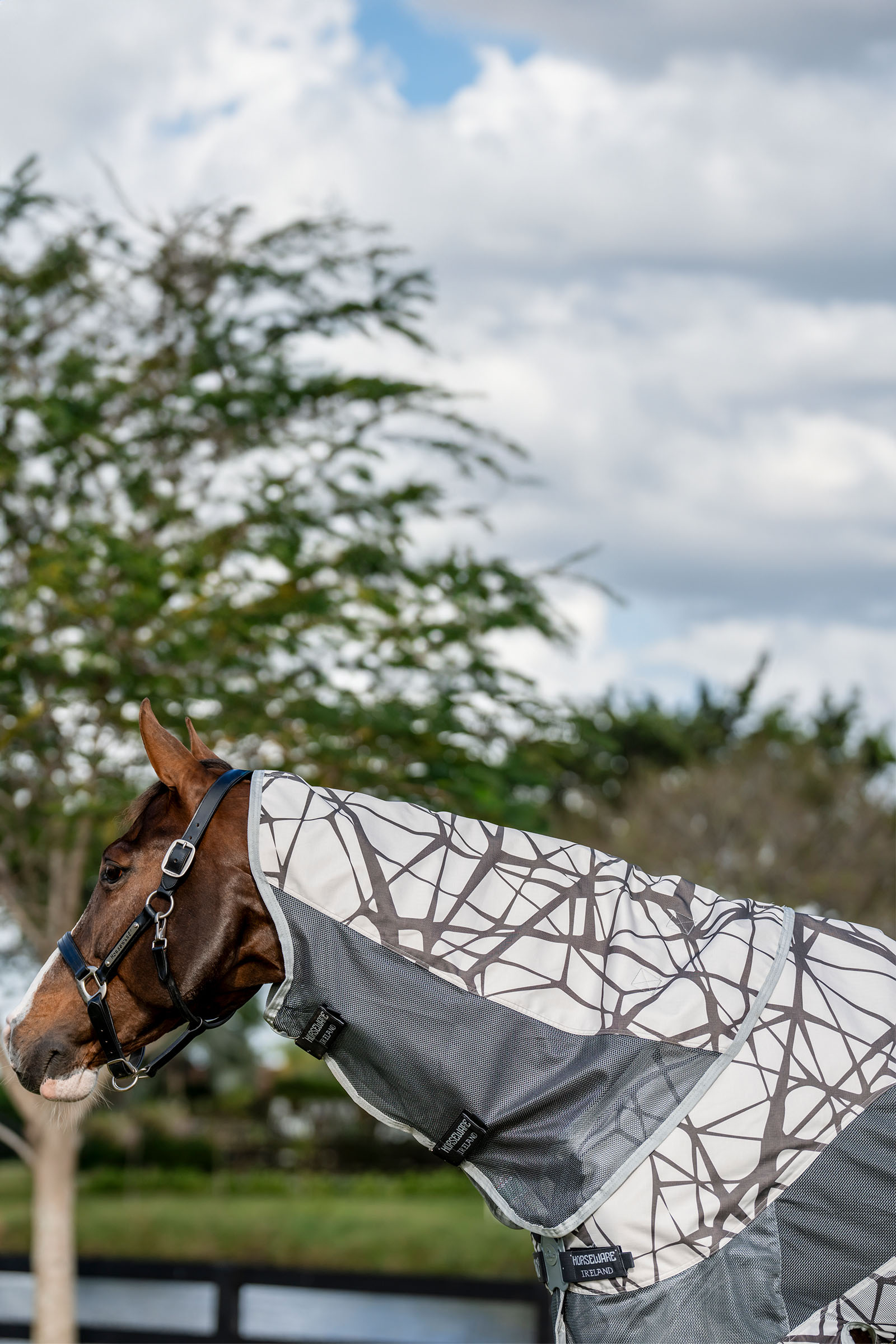 Horseware Amigo 3-in-1 CamoFly Vliegendeken