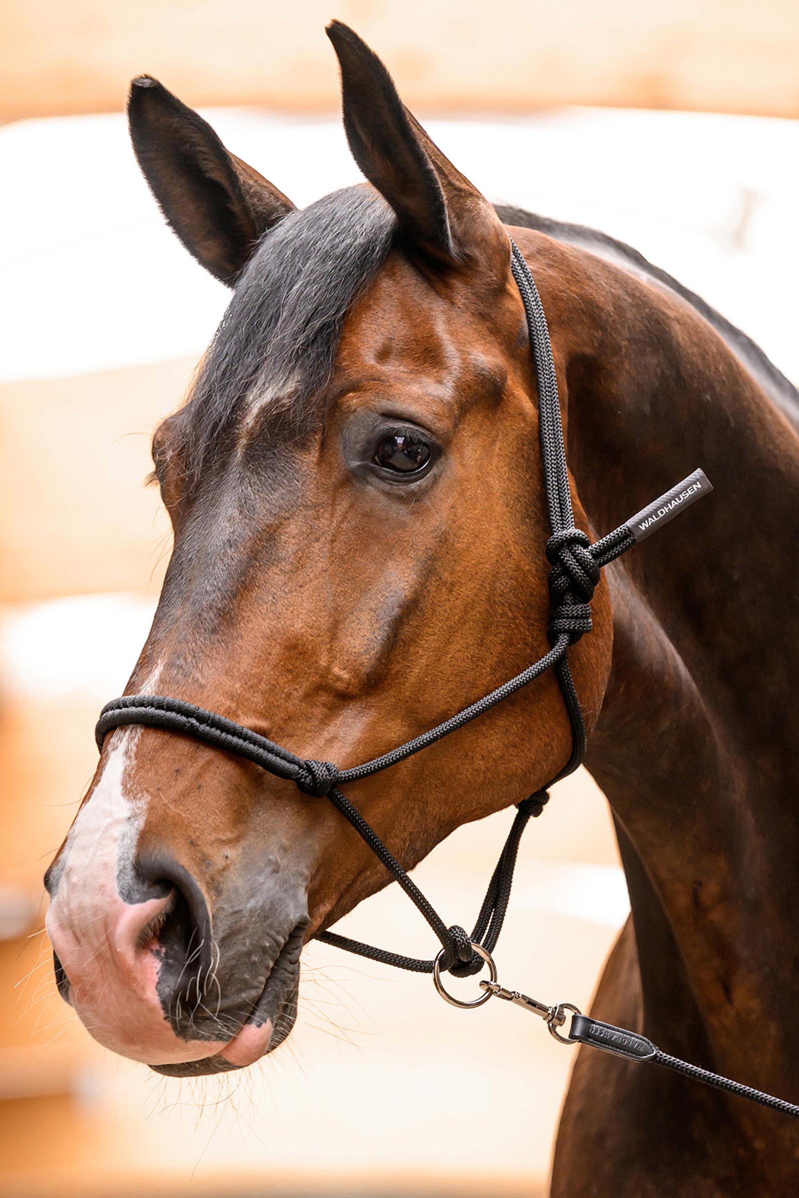 Waldhausen knoophalter met bewegende ring