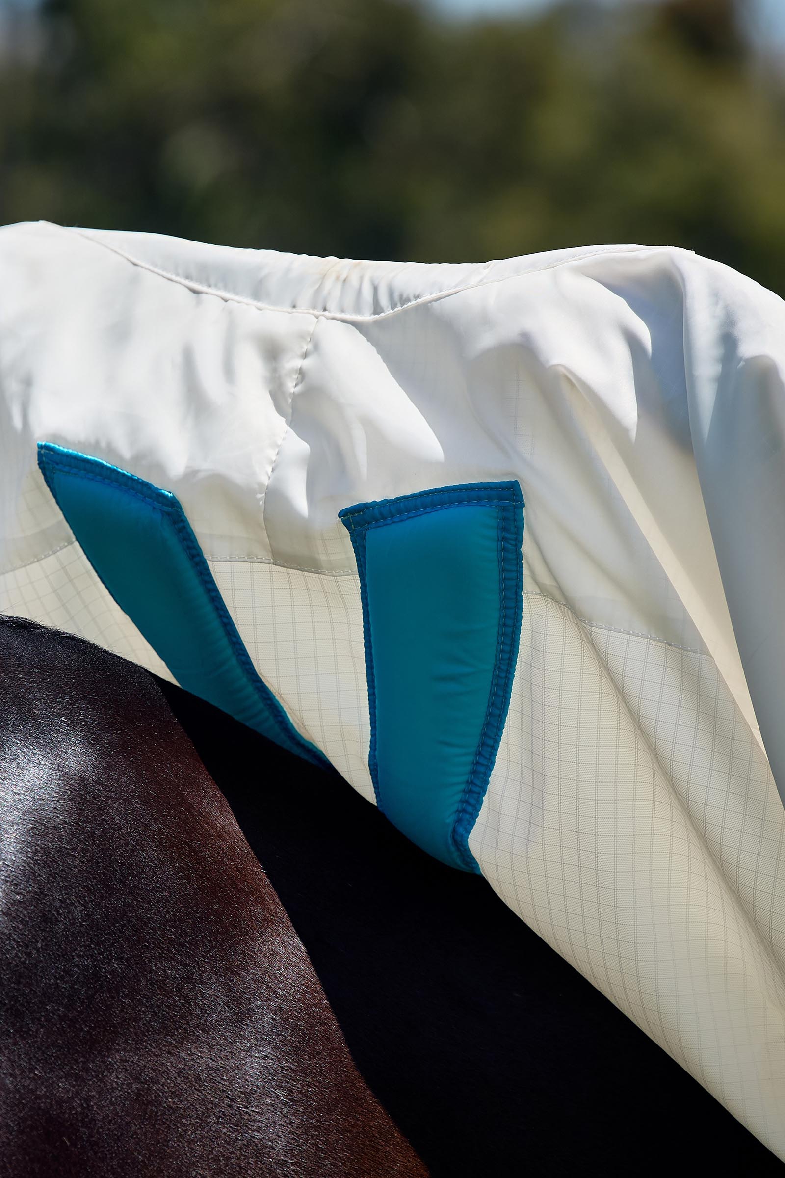 Weatherbeeta ComFiTec Sweet Itch Shield Vliegendeken combo met vaste hals, 0 g  