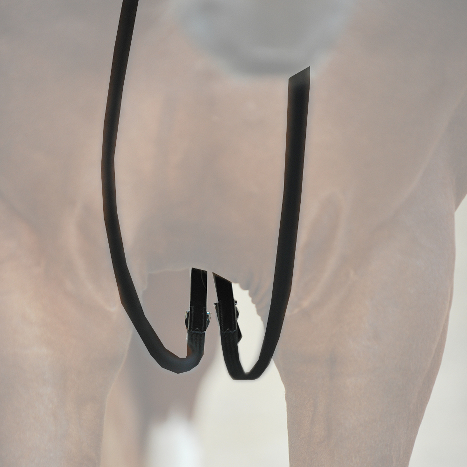 Kavalkade Web Slofteugels