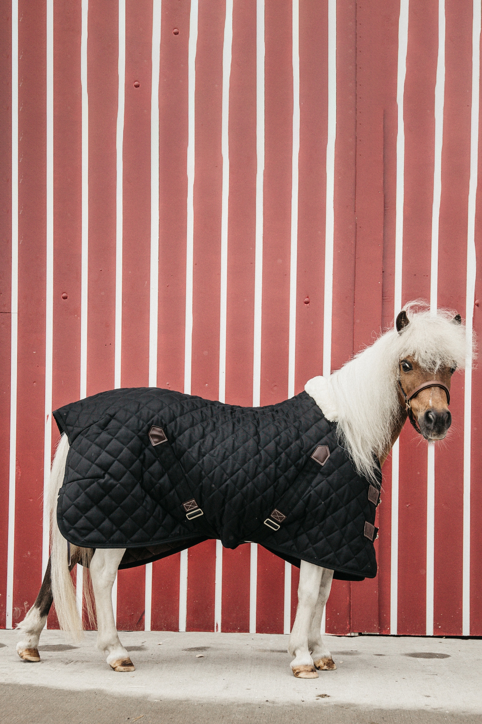 Kentucky Horsewear Staldeken 400g