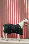 Kentucky Horsewear Staldeken 400g